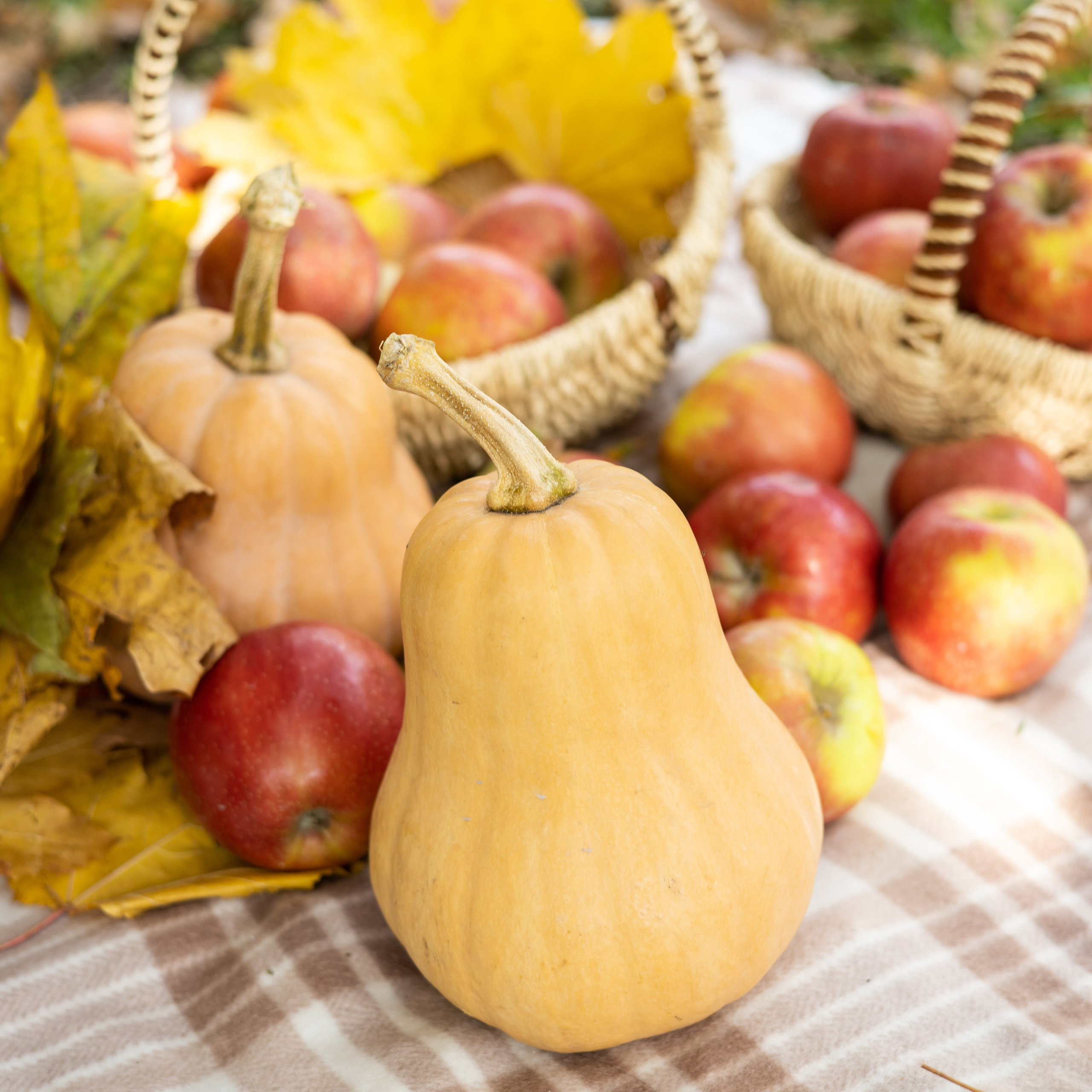 Отзывы. SAAVIK design — Керамика \ Зефирная флористика \Handmade\ Краснодар