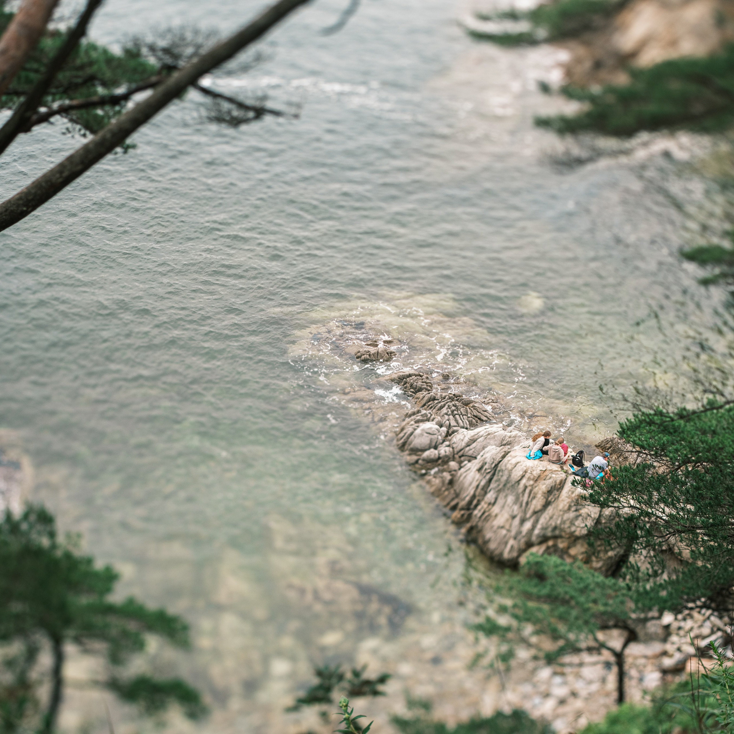 Приморский край. Искусство фотографии