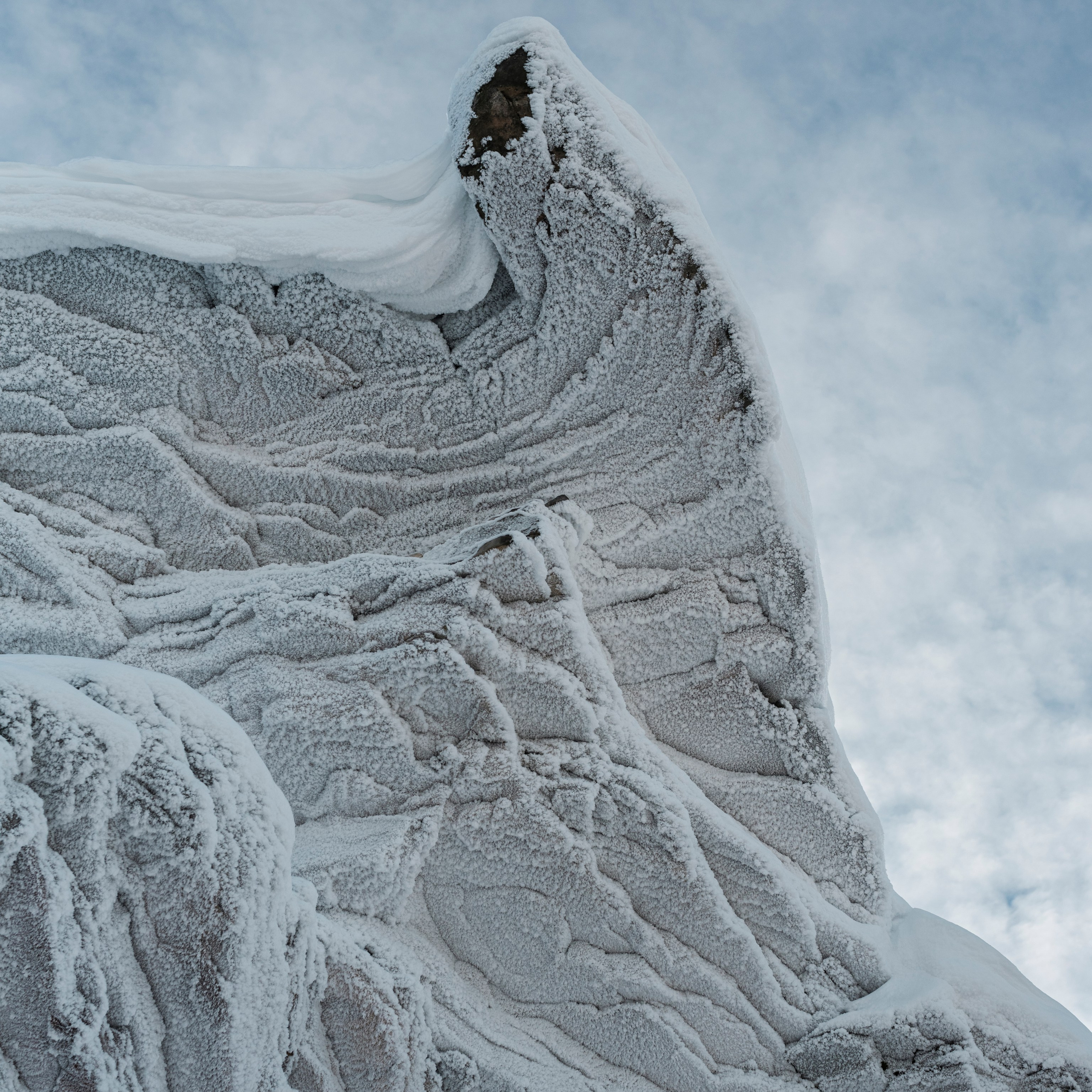Парма. Искусство фотографии