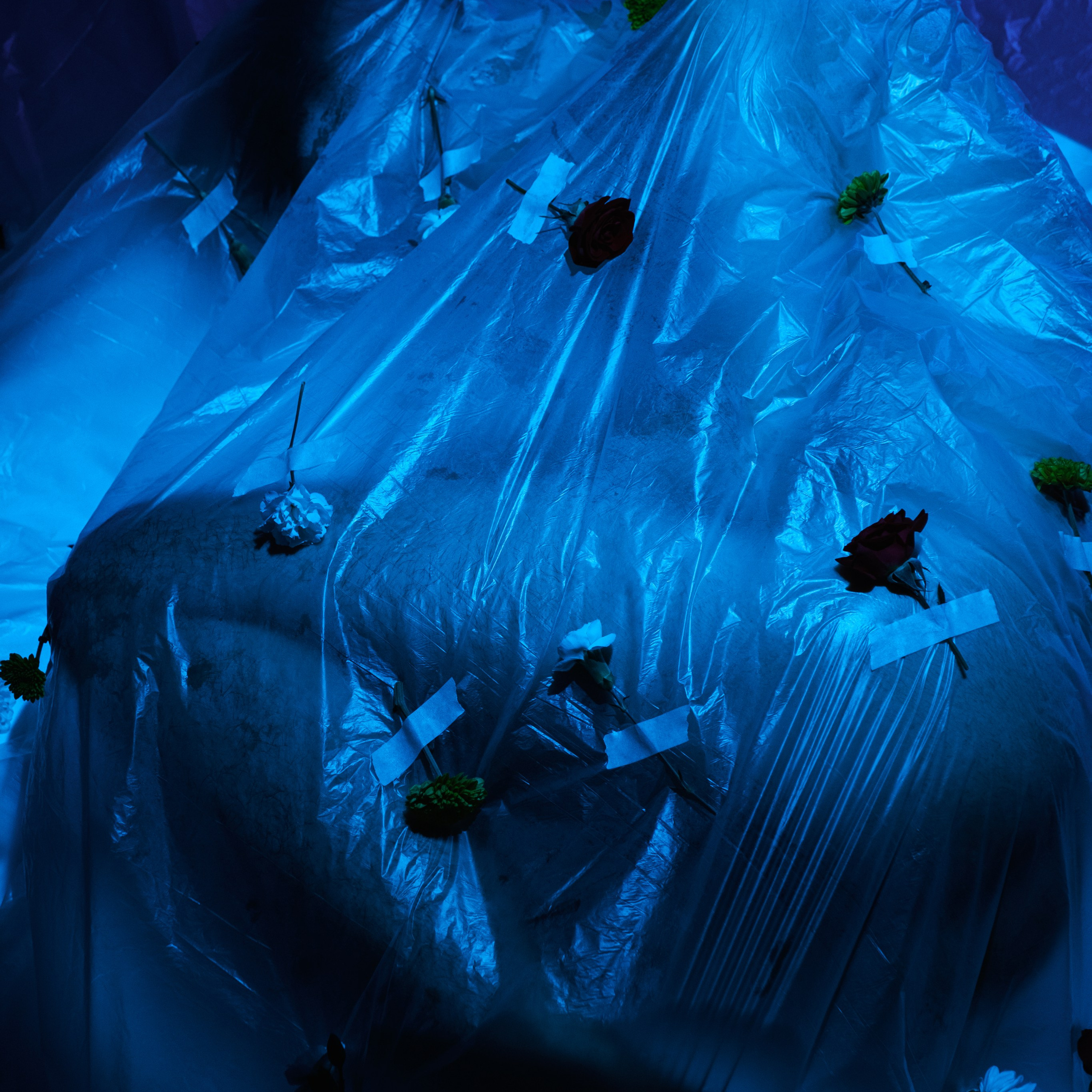 Born in flowers. Искусство фотографии