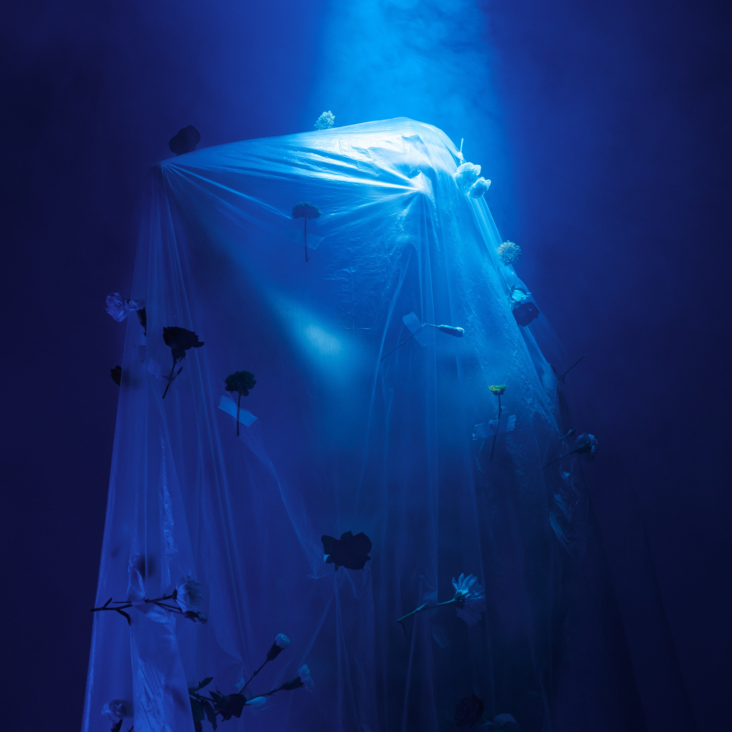 Born in flowers. Искусство фотографии