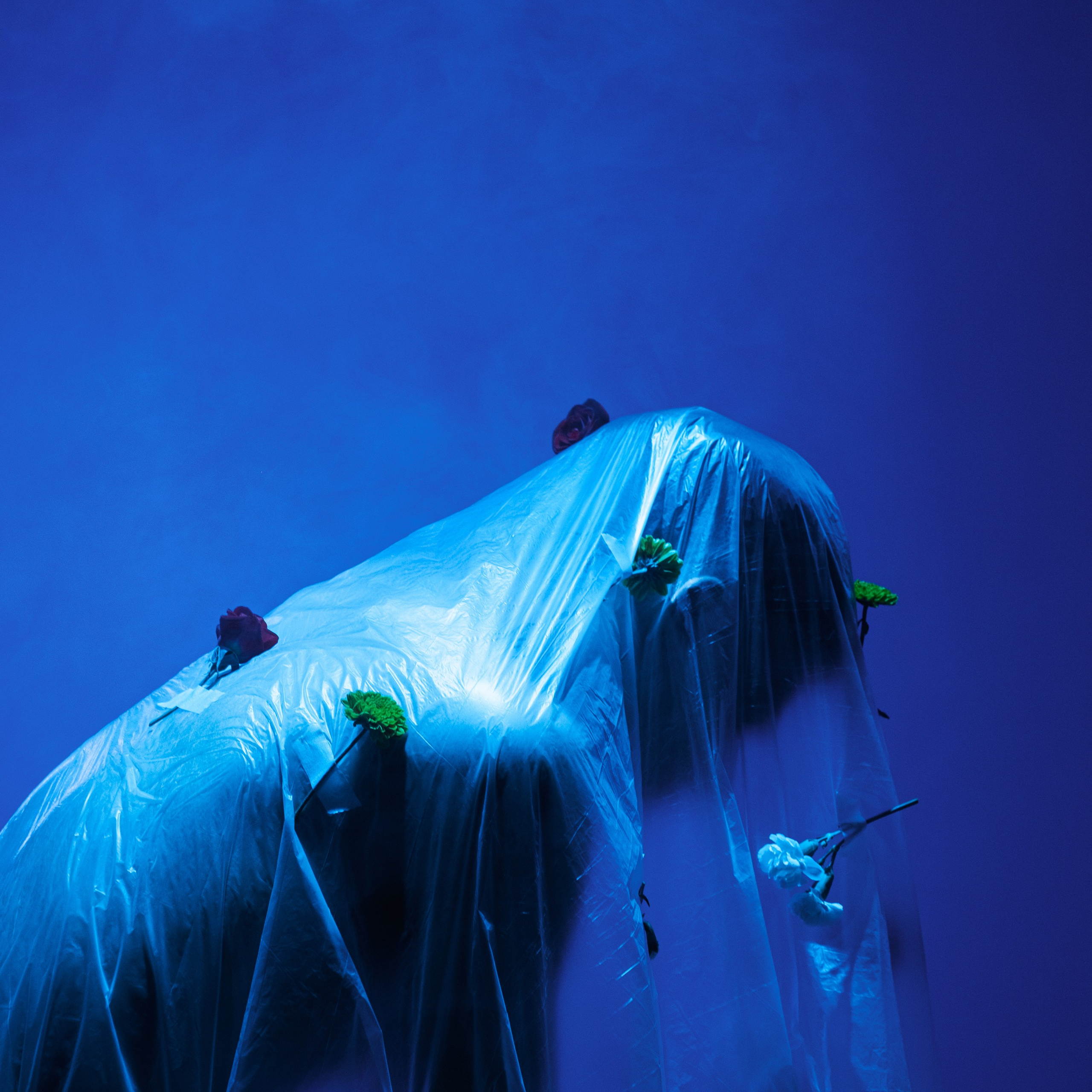 Born in flowers. Искусство фотографии