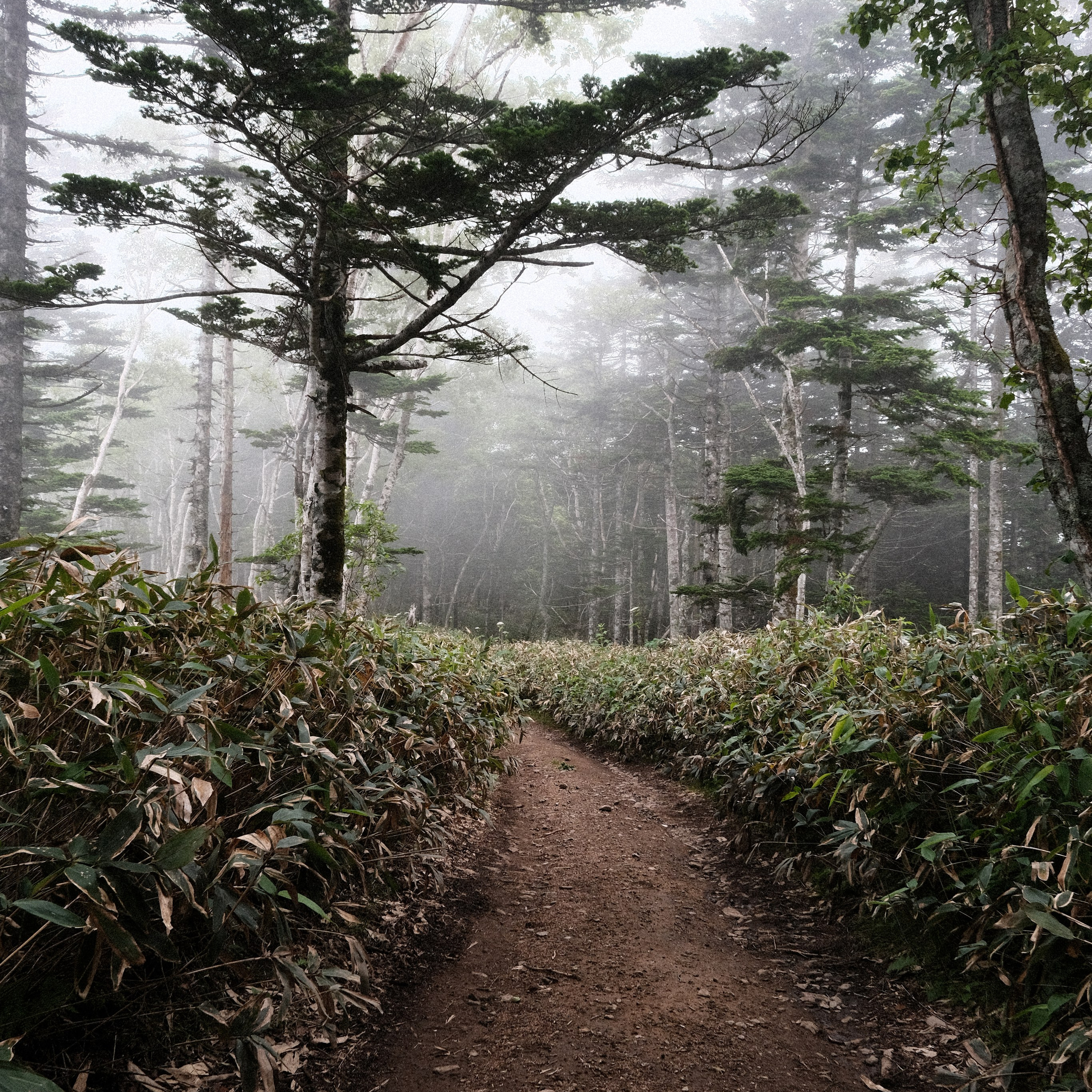 Кунашир. Искусство фотографии