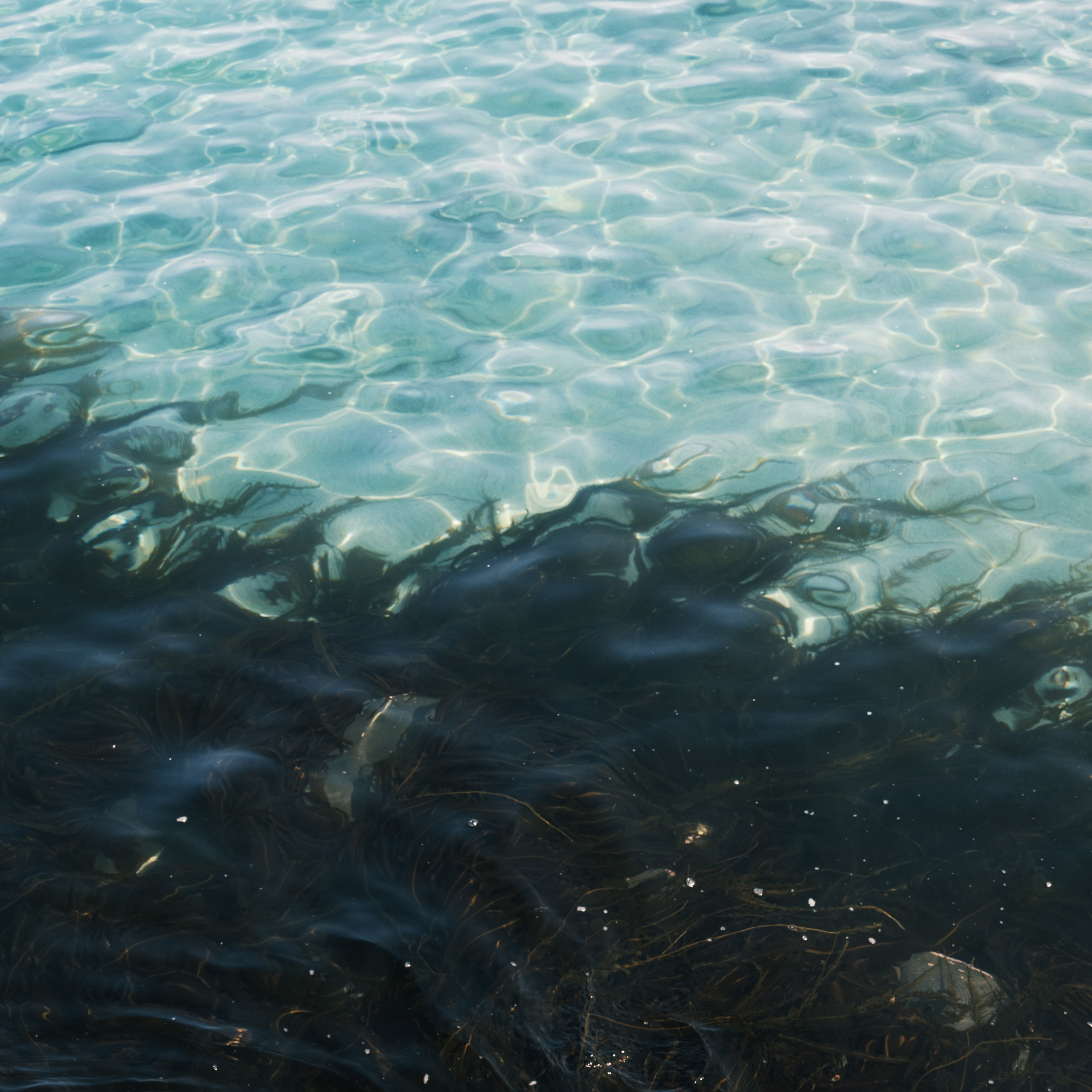 Итуруп. Искусство фотографии