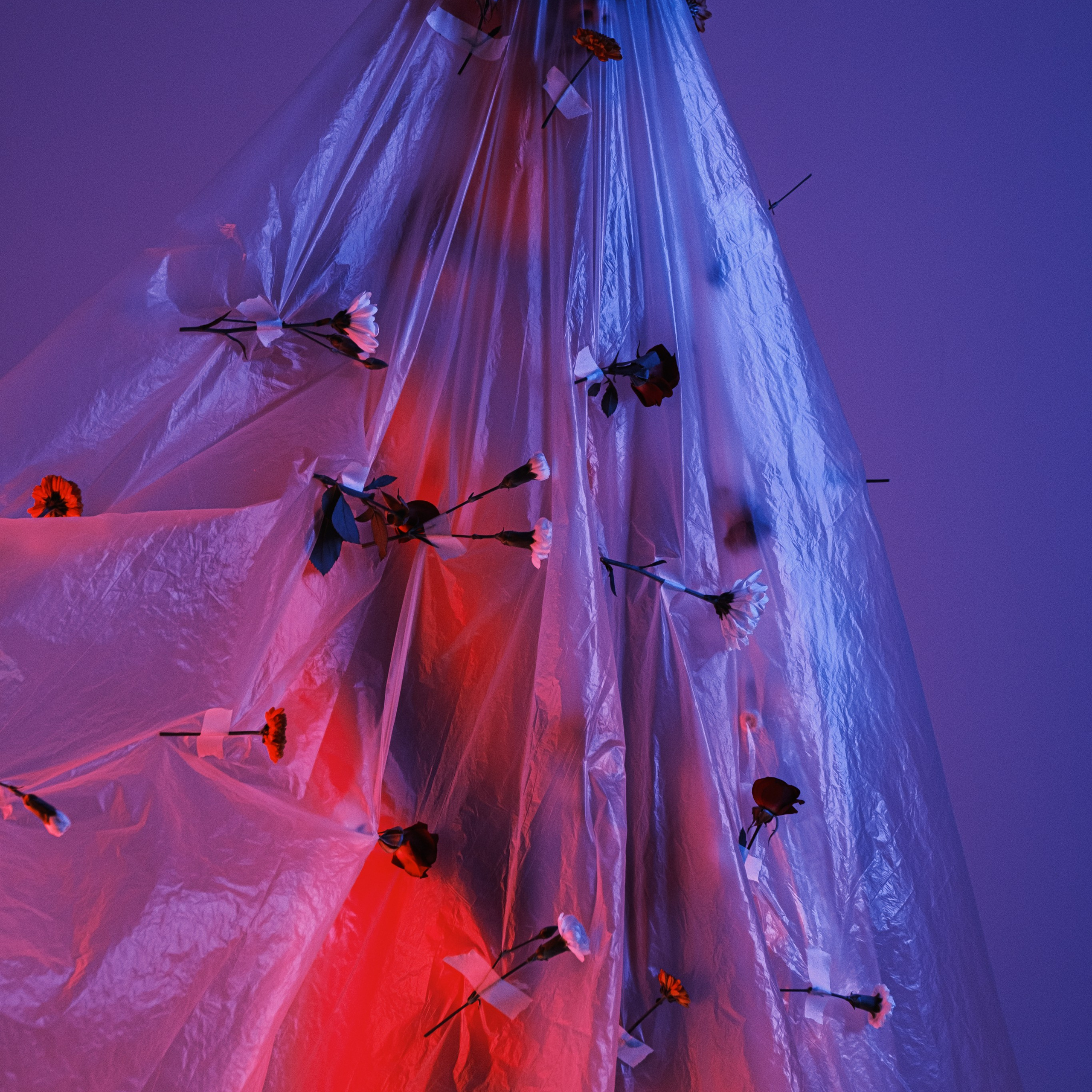 Born in flowers. Искусство фотографии