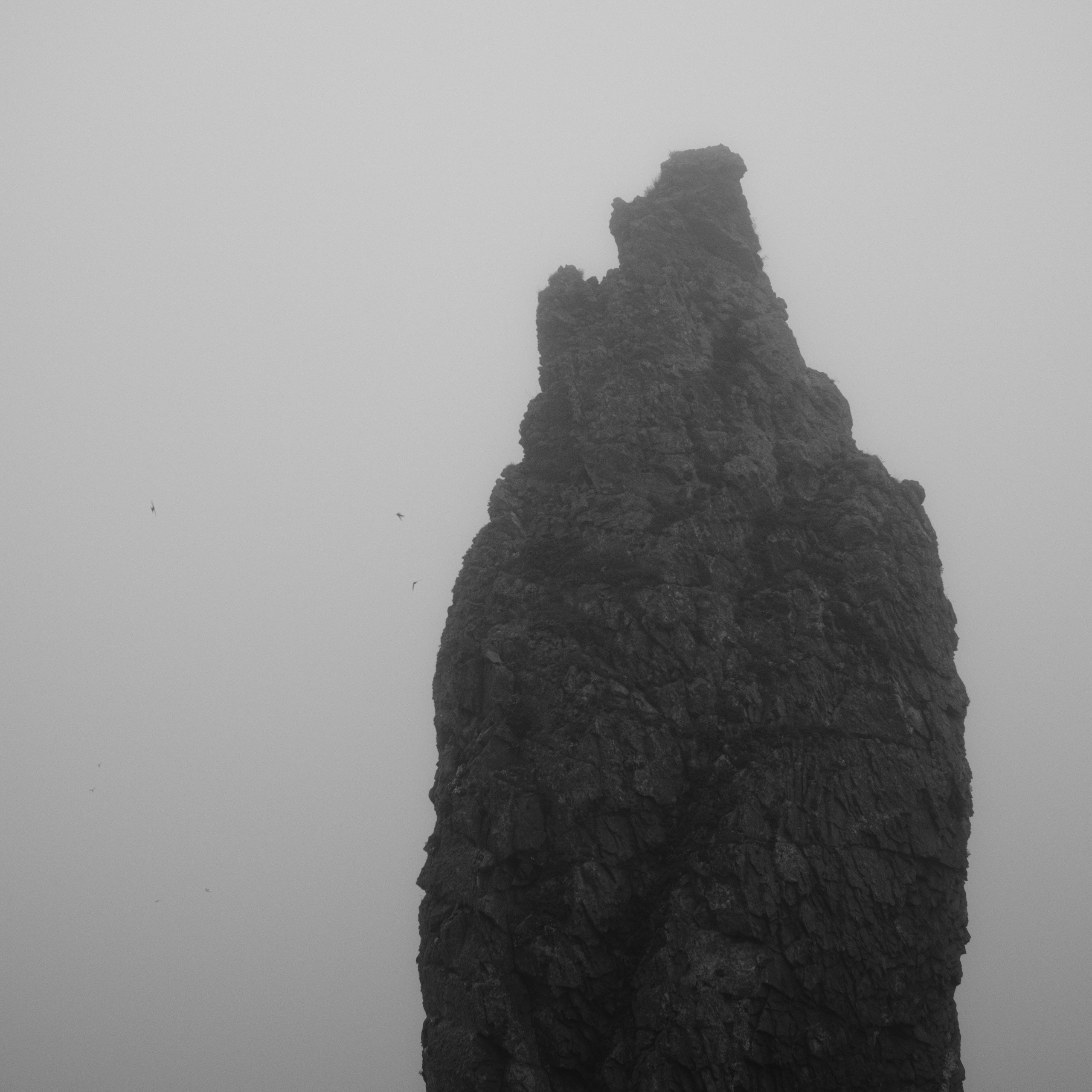 Кунашир. Искусство фотографии