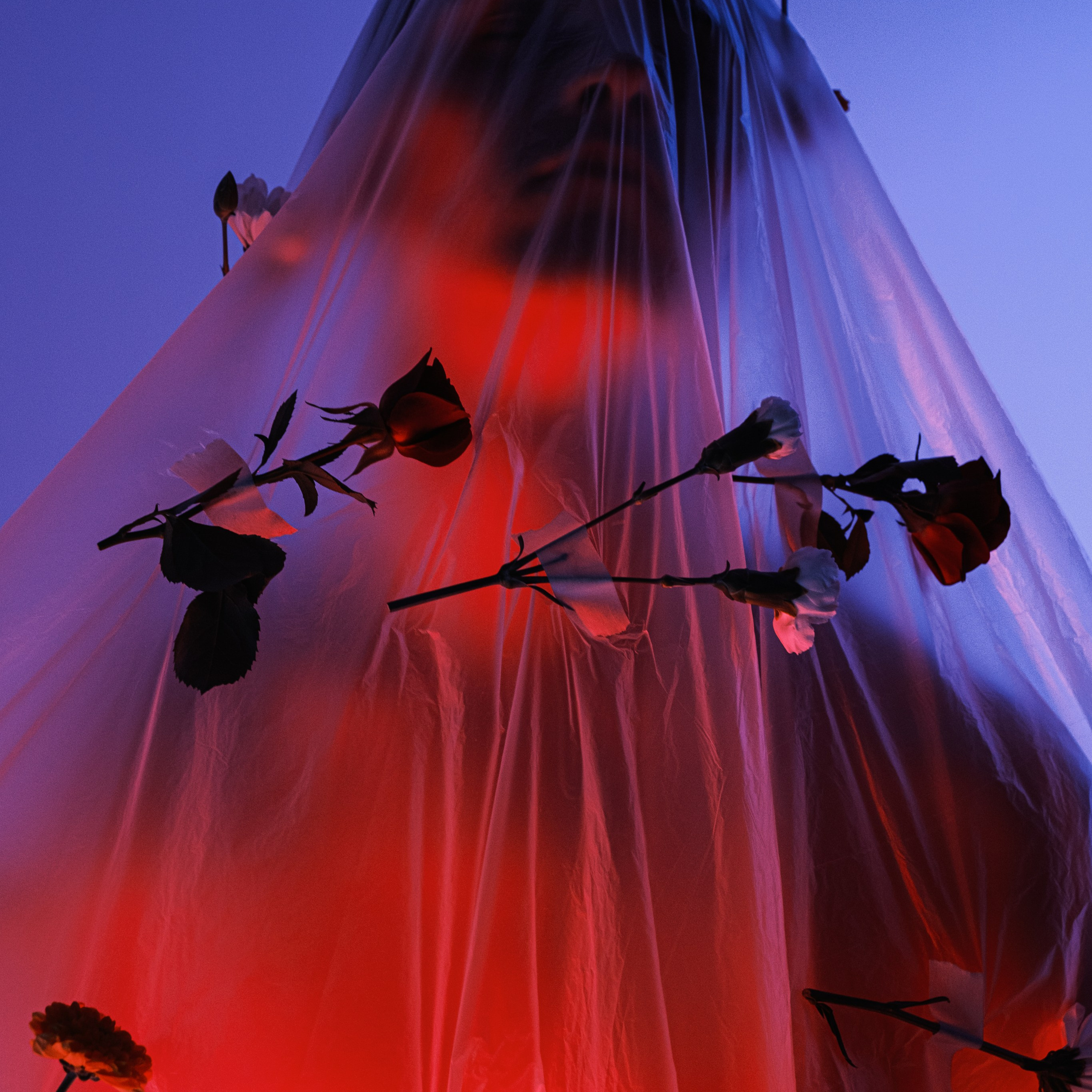 Born in flowers. Искусство фотографии