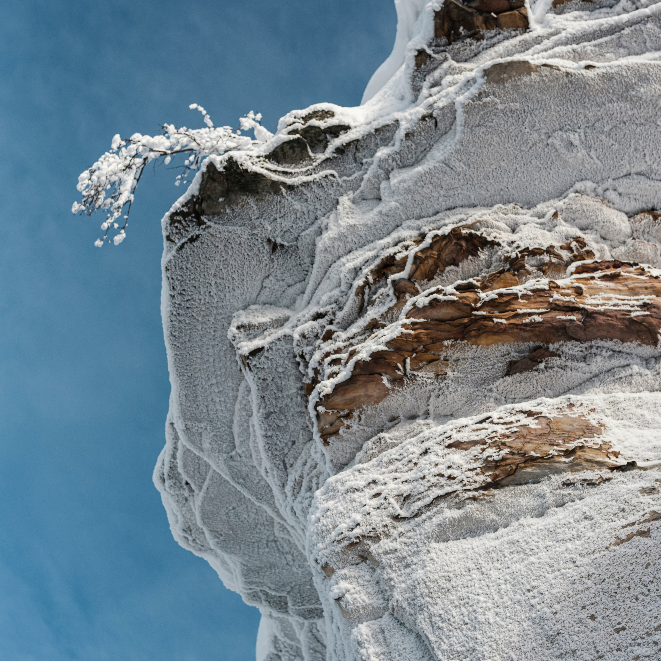 Парма. Искусство фотографии