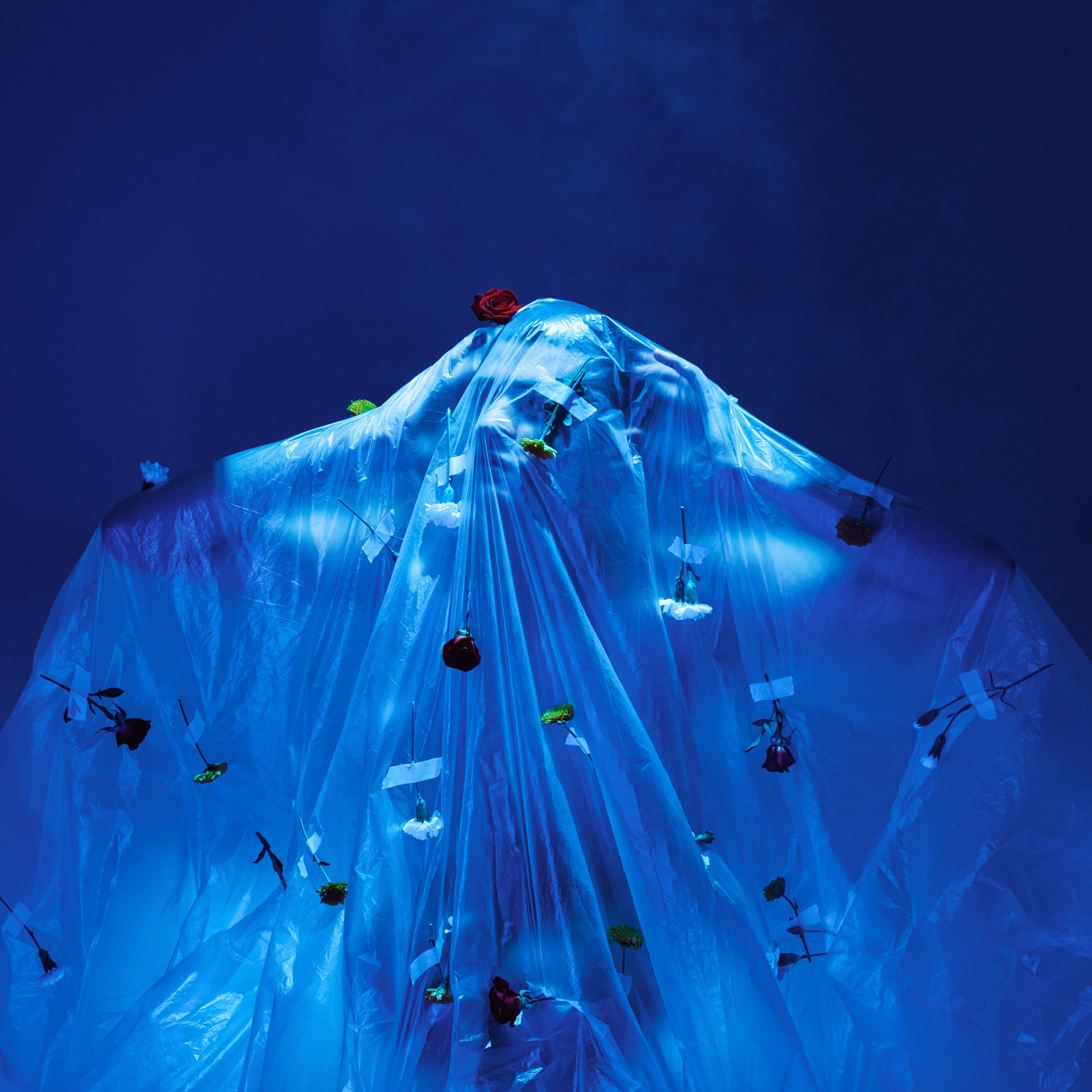 Born in flowers. Искусство фотографии