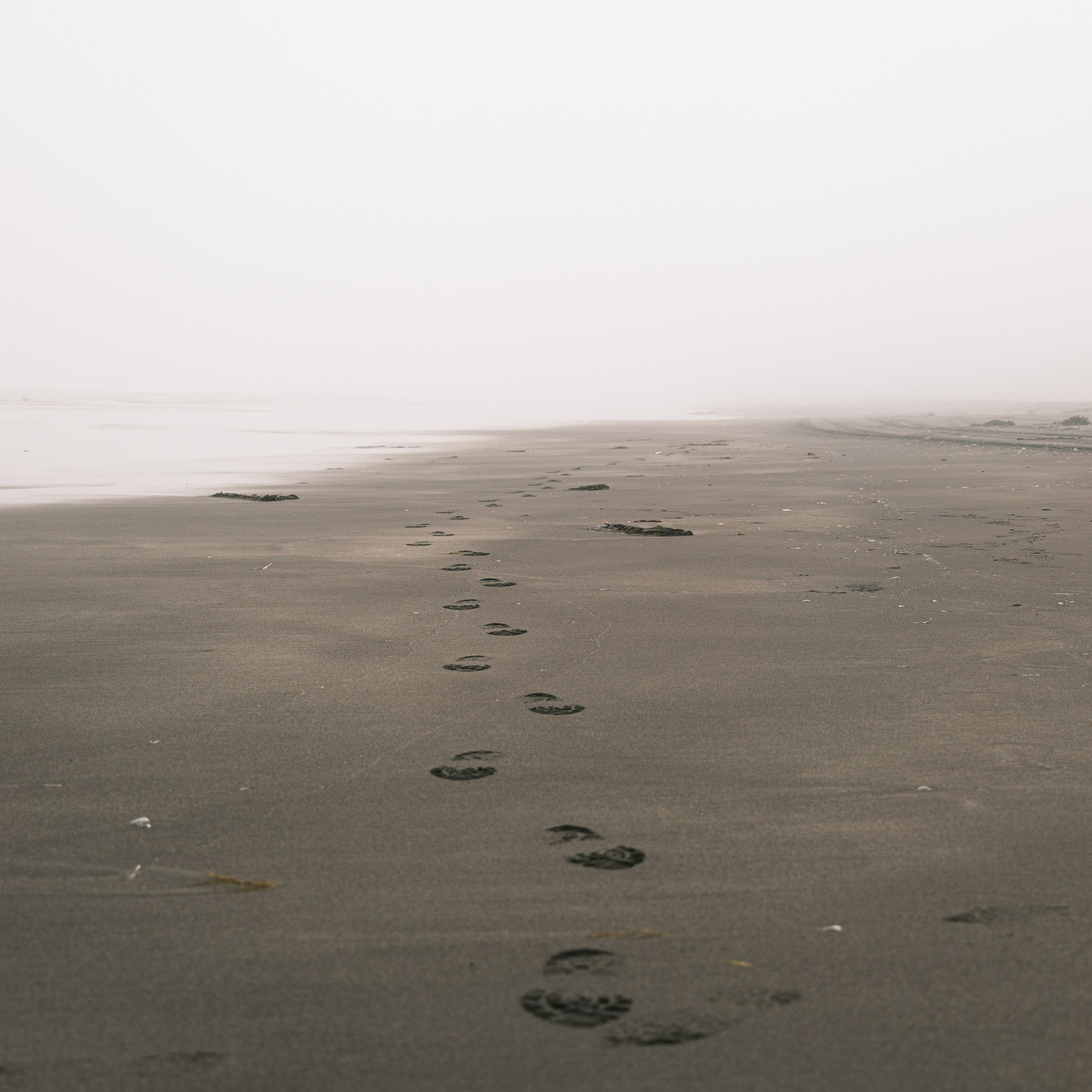 Итуруп. Искусство фотографии