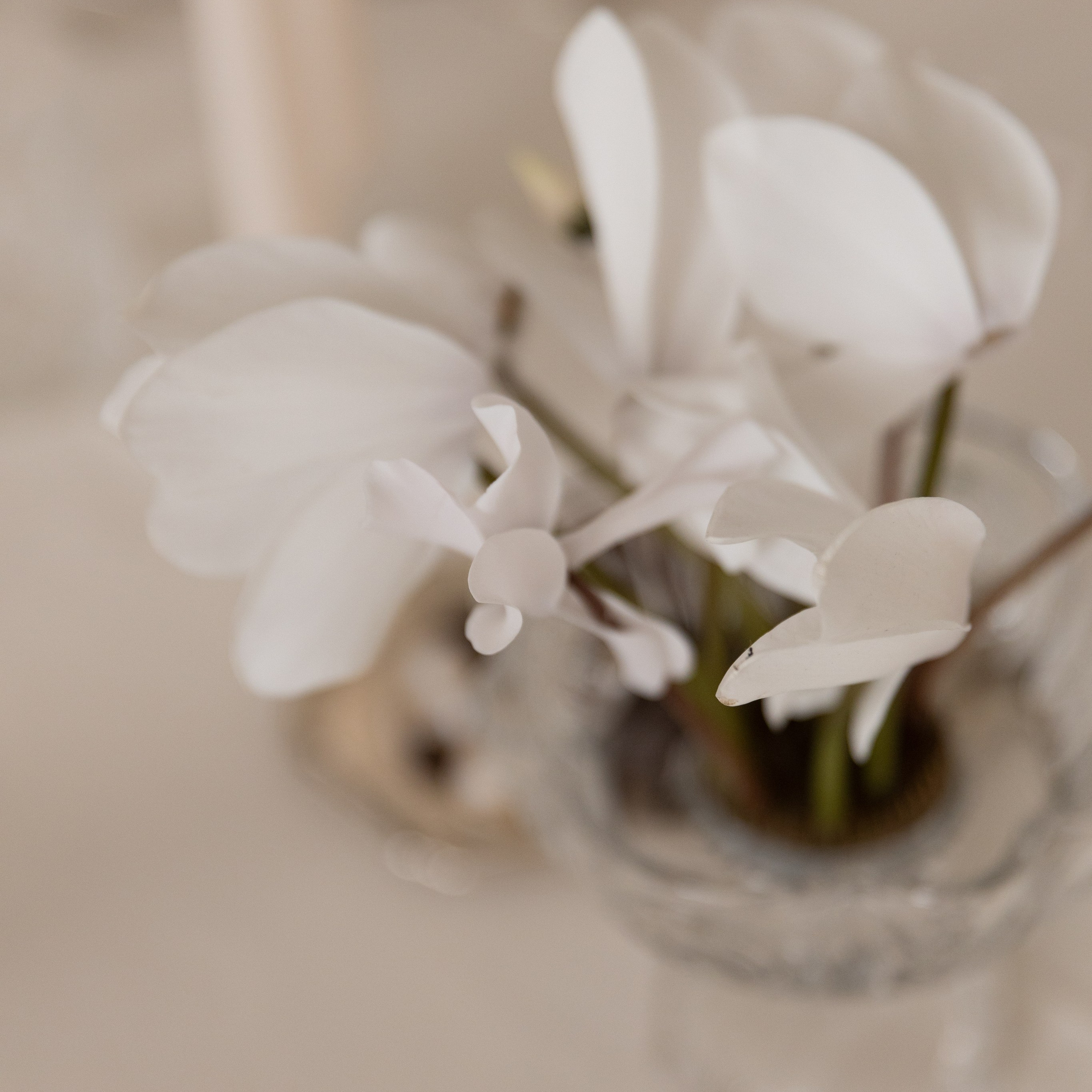 Григорий и Анна. Свадебный и семейный фотограф Екатеринбург