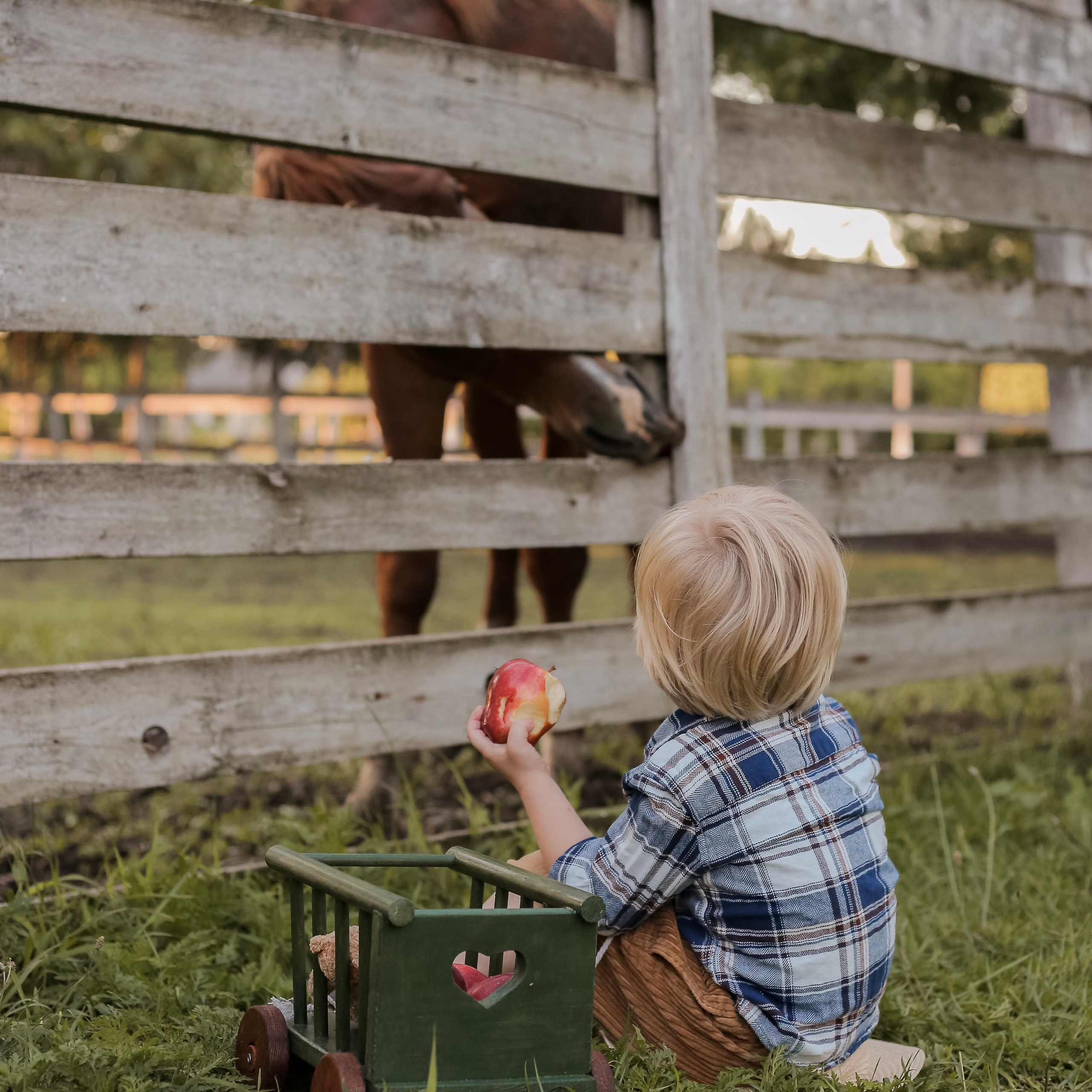 Отзывы. Профессиональная детская и семейная фотостудия в Краснодаре