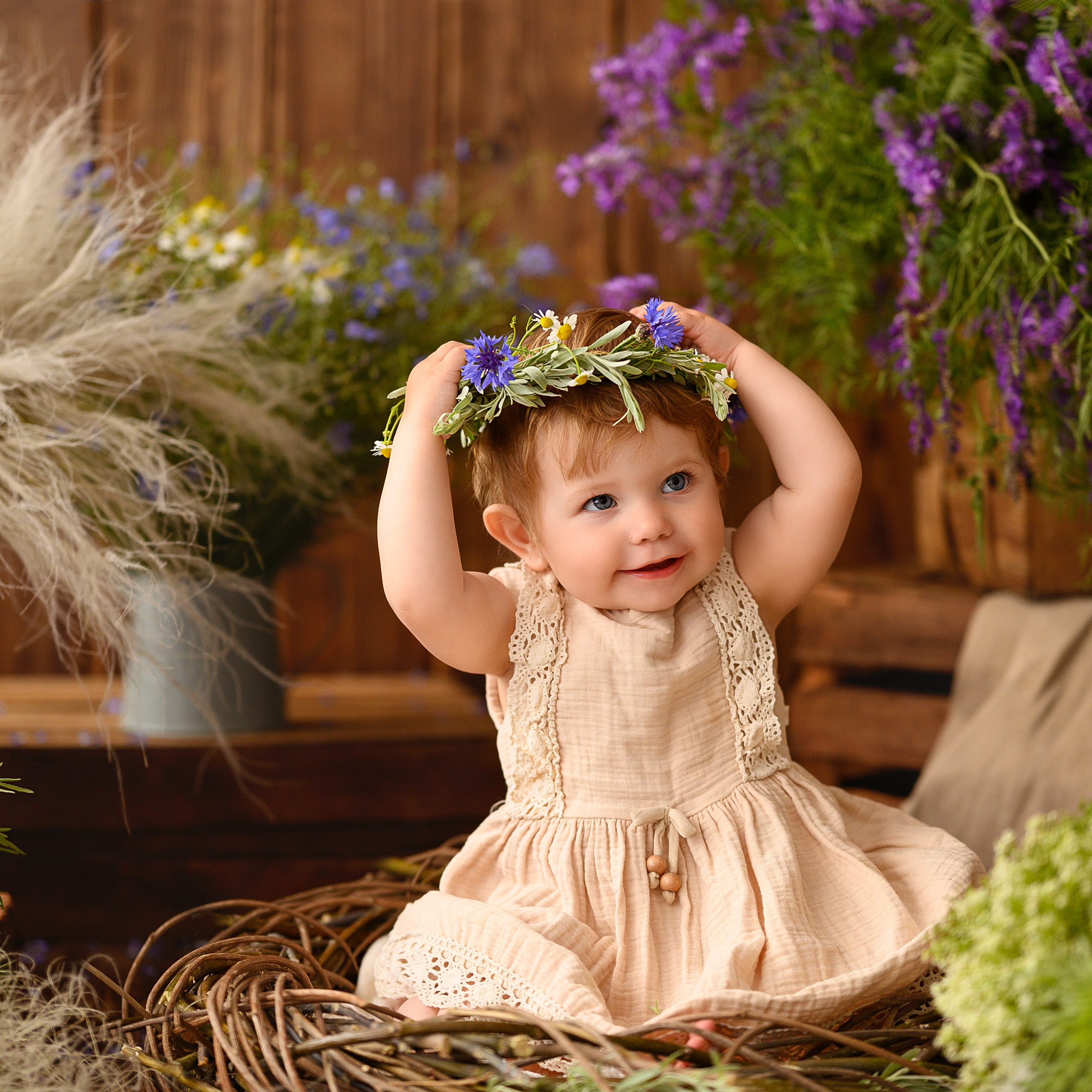 Полевые травы / ромашки / васильки