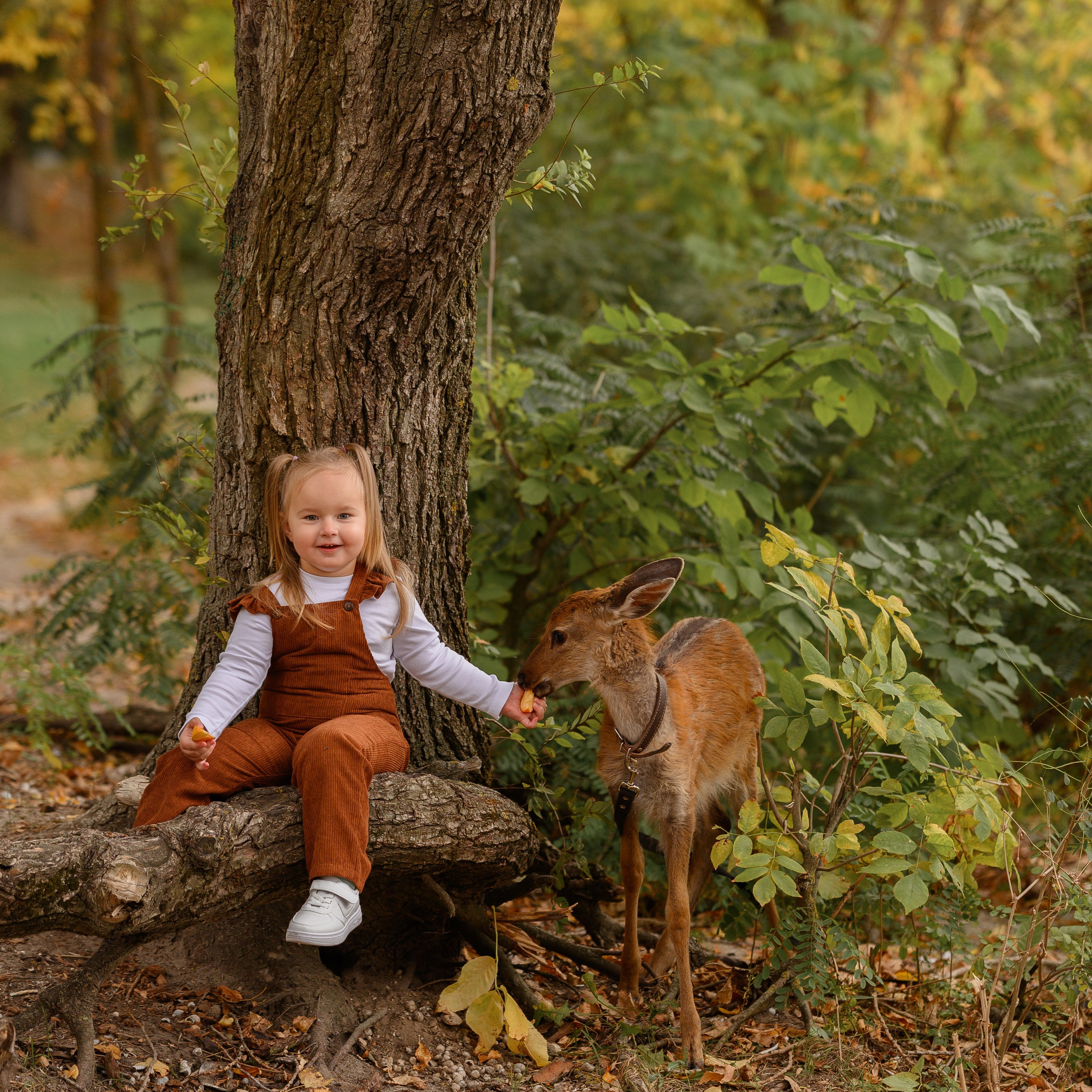 Отзывы. Детский и семейный фотограф Ирина Гладких