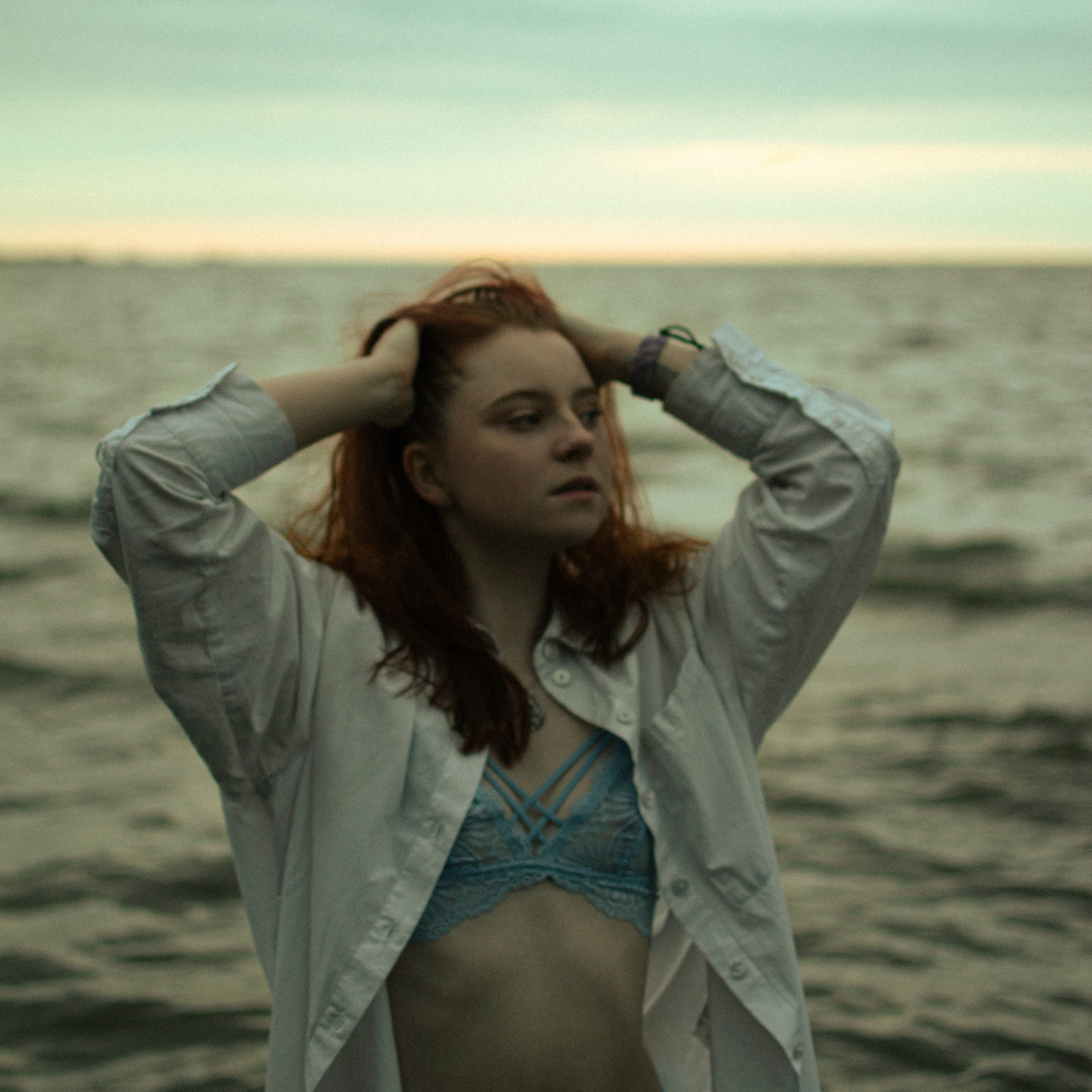 Роза | залив