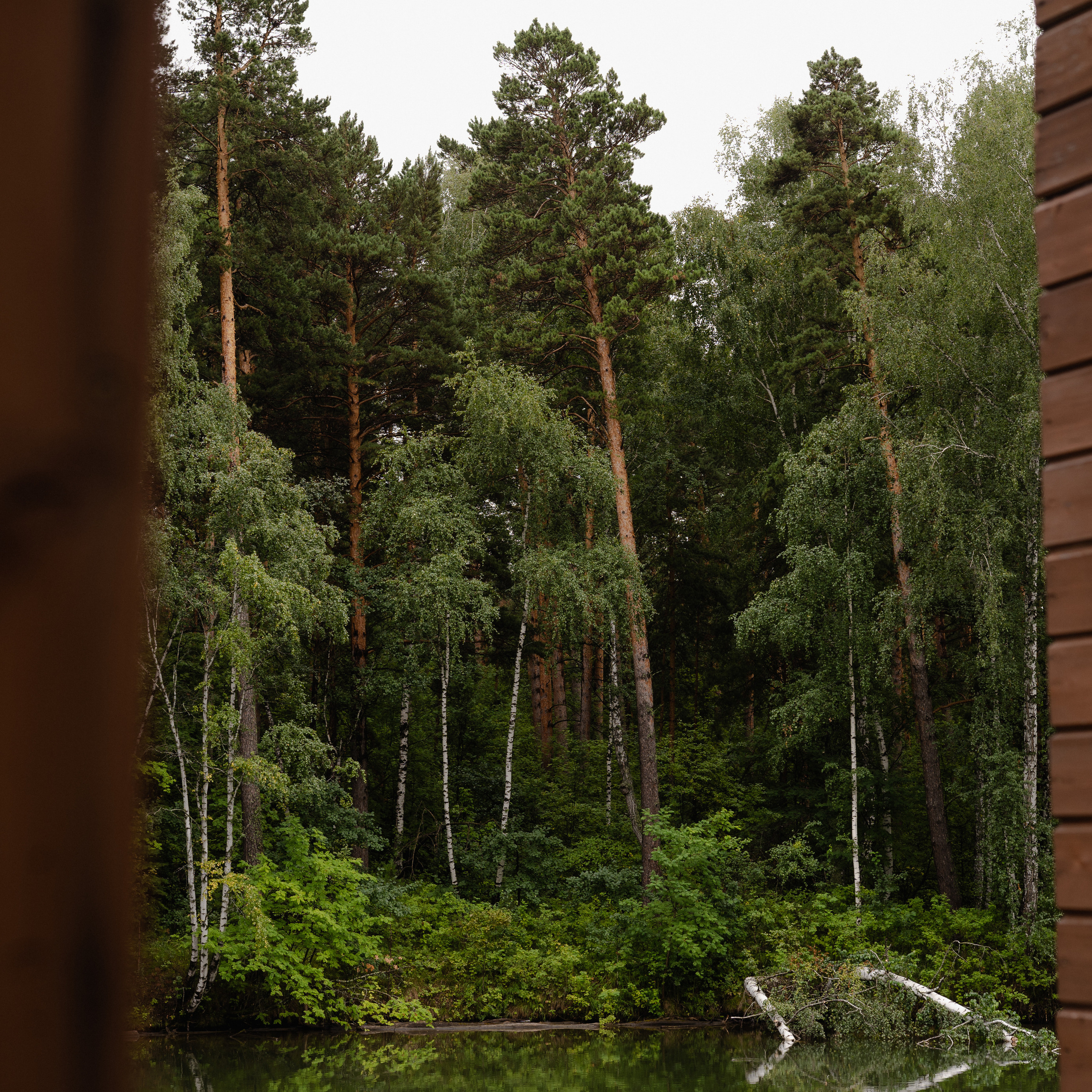 Отзывы. Фотограф Аля Овчарова