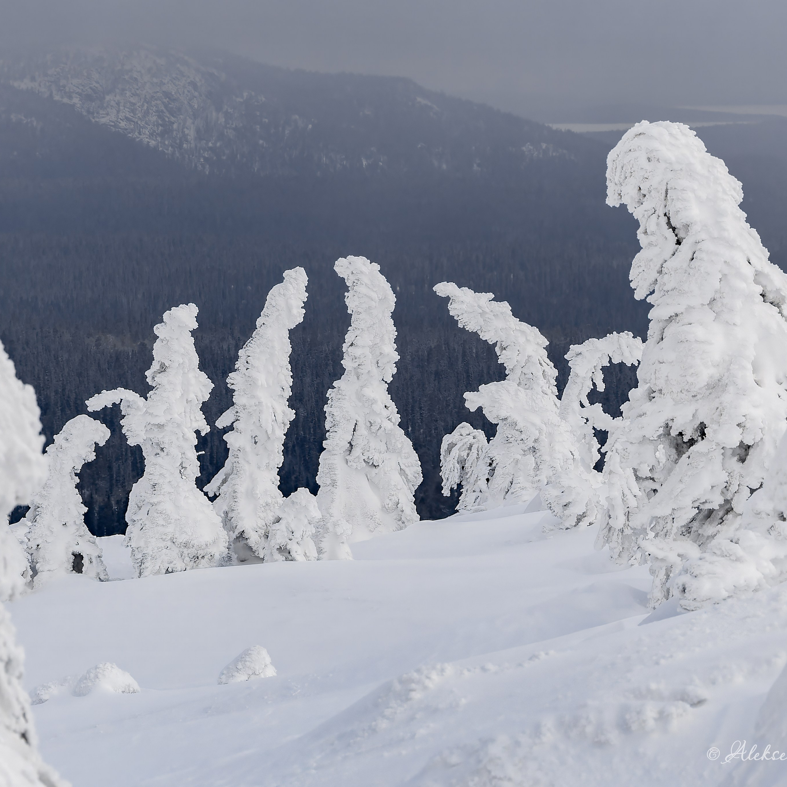 Национальный парк «Паанаярви»