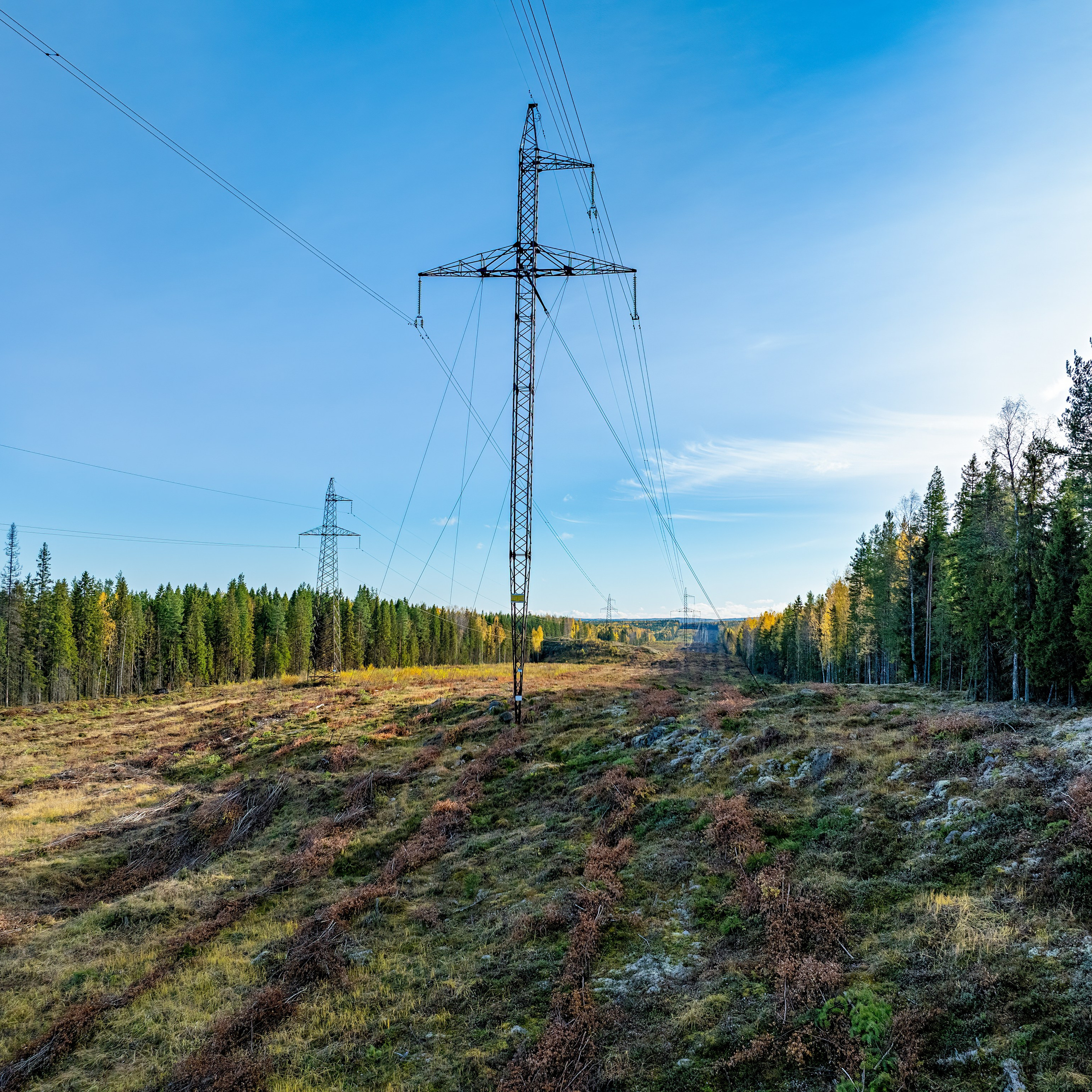 Отзывы. Аэросъемка. Фото и Видео в Карелии. Алексей Фрилунд