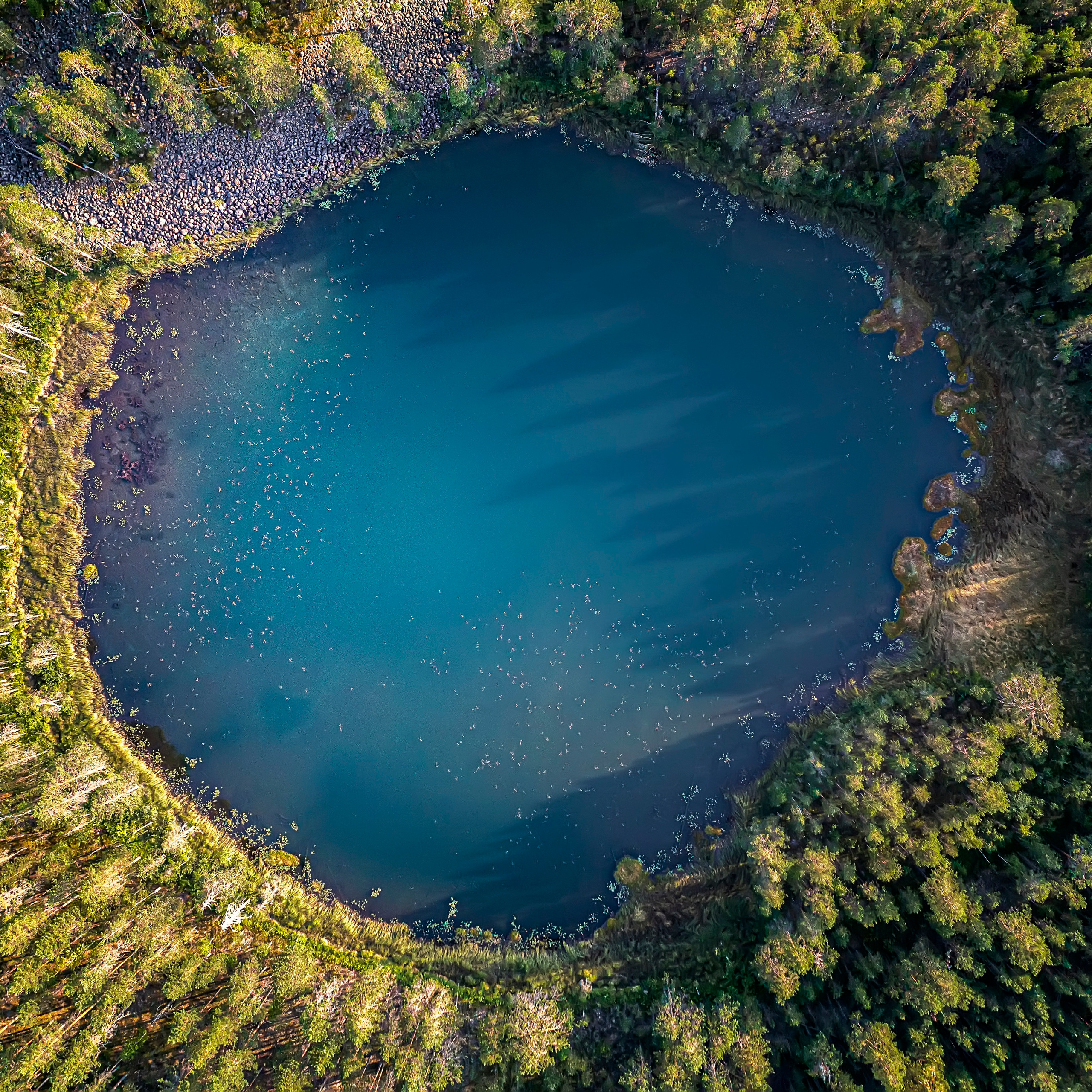 Природа Карелии