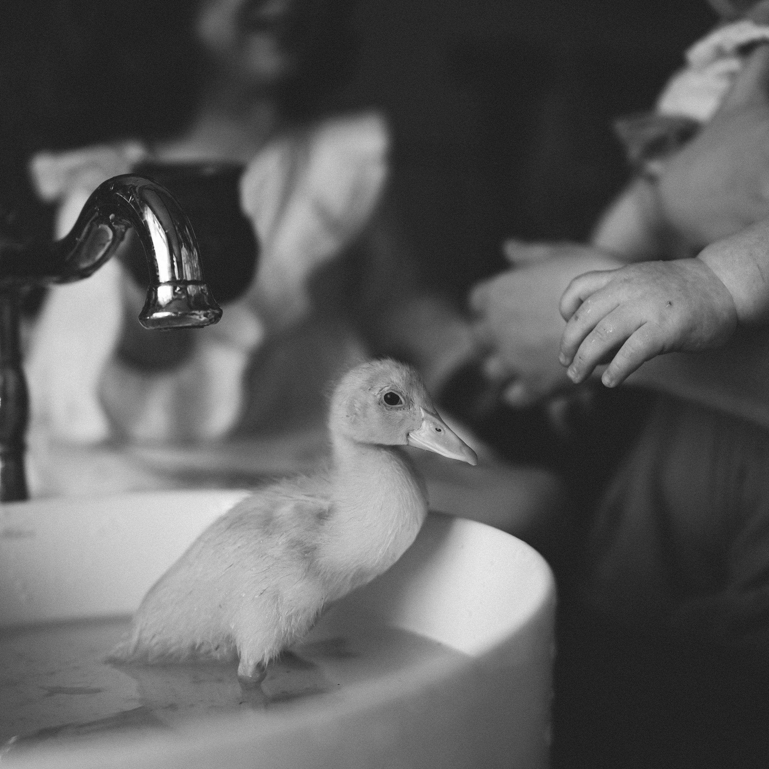 Отзывы. Фотограф в Тюмени Пушкарева Анастасия