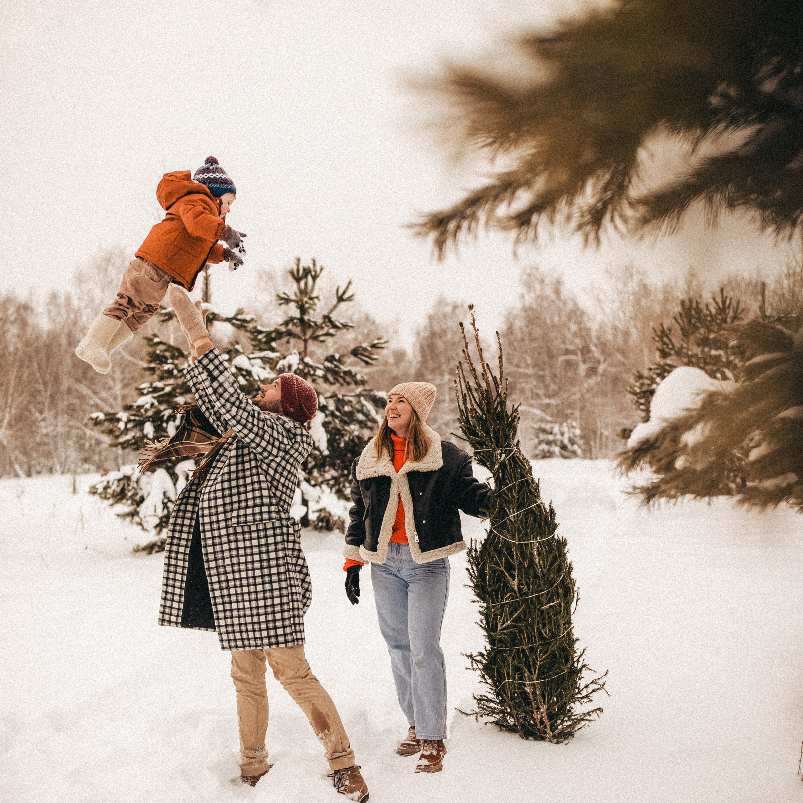 Елочку взяли мы домой