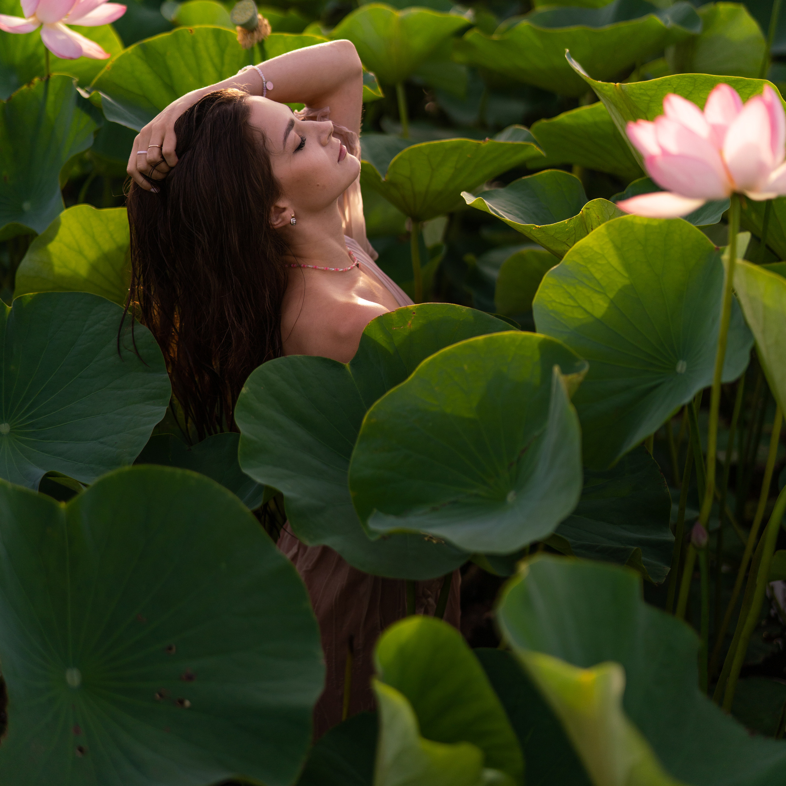 Большой Лотос