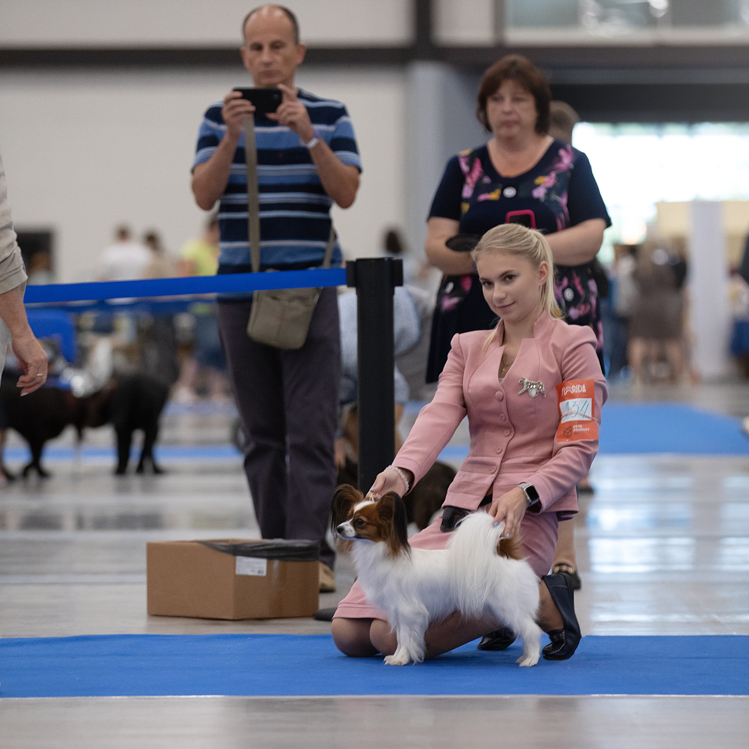Отзывы. Фотограф анималист в Санкт-Петербурге Светлана Писарева