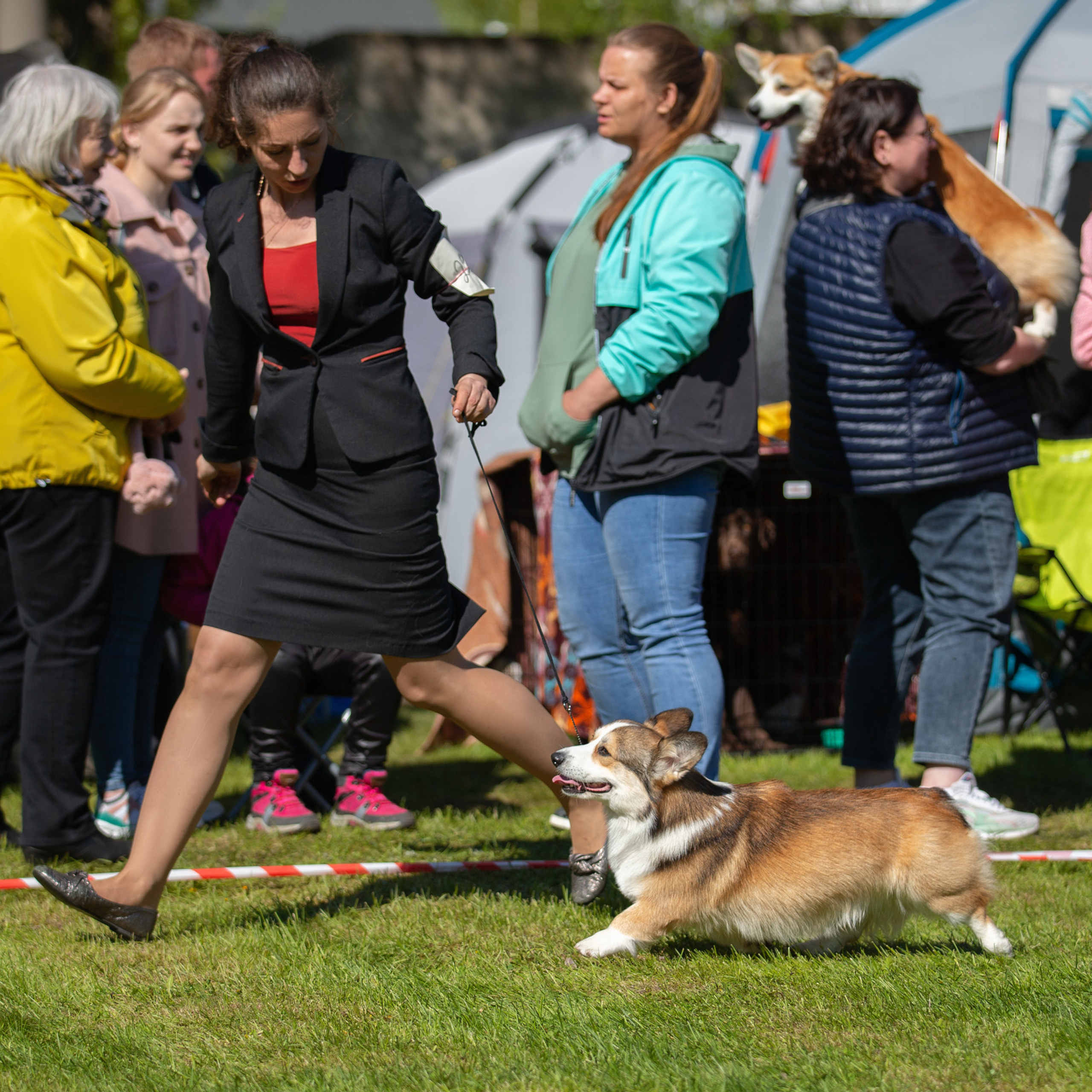 Отзывы. Фотограф анималист в Санкт-Петербурге Светлана Писарева