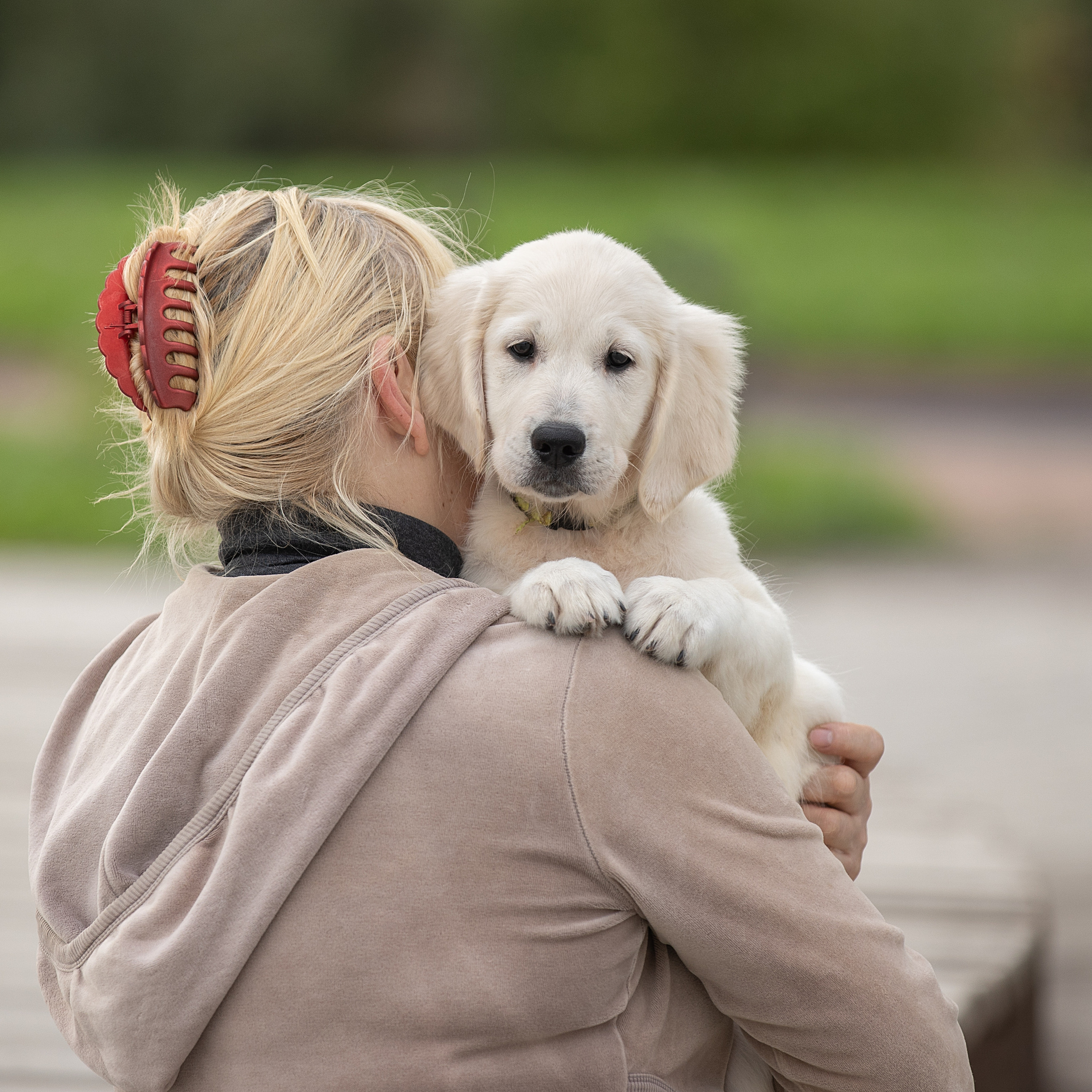 Отзывы. Фотограф анималист в Санкт-Петербурге Светлана Писарева