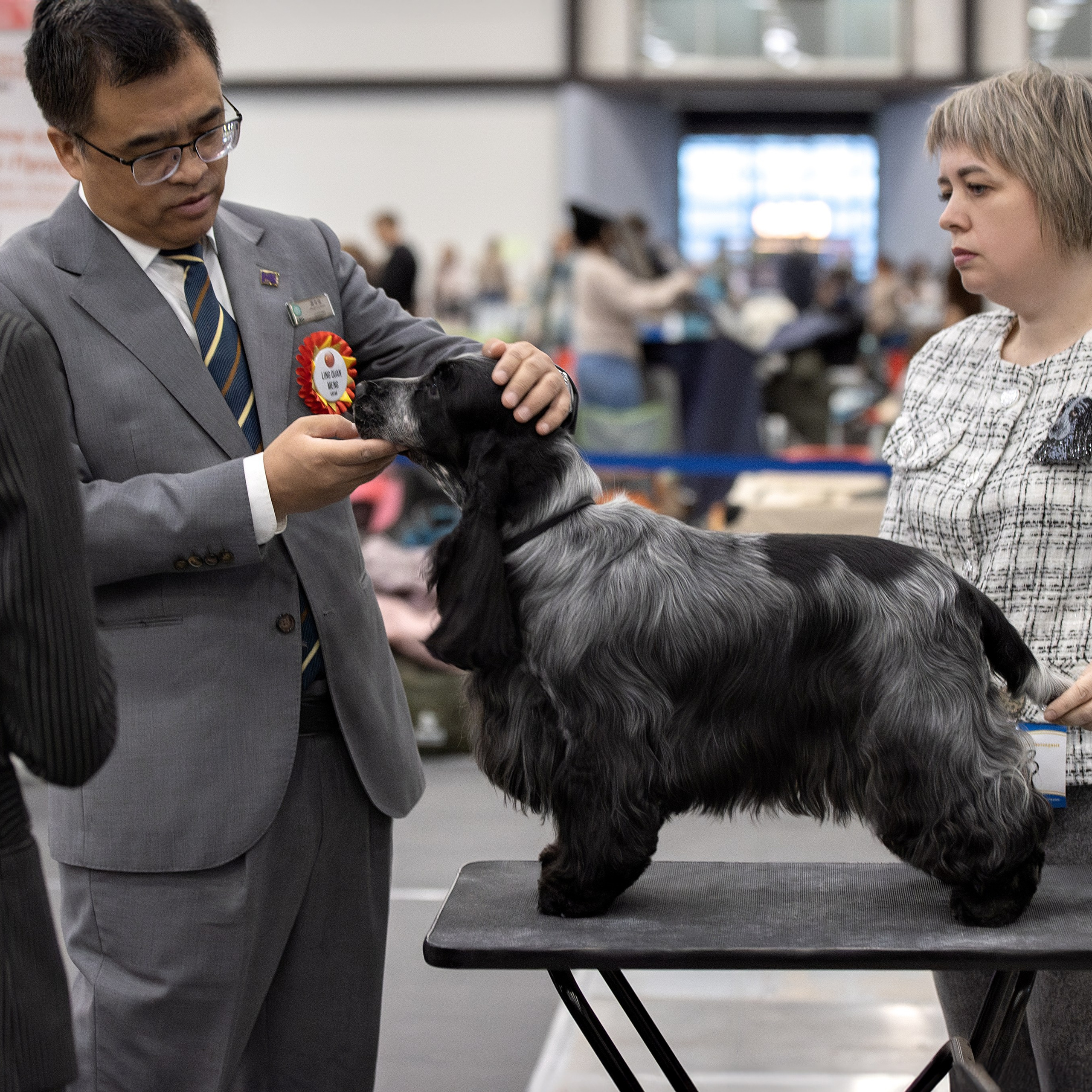 Отзывы. Фотограф анималист в Санкт-Петербурге Светлана Писарева