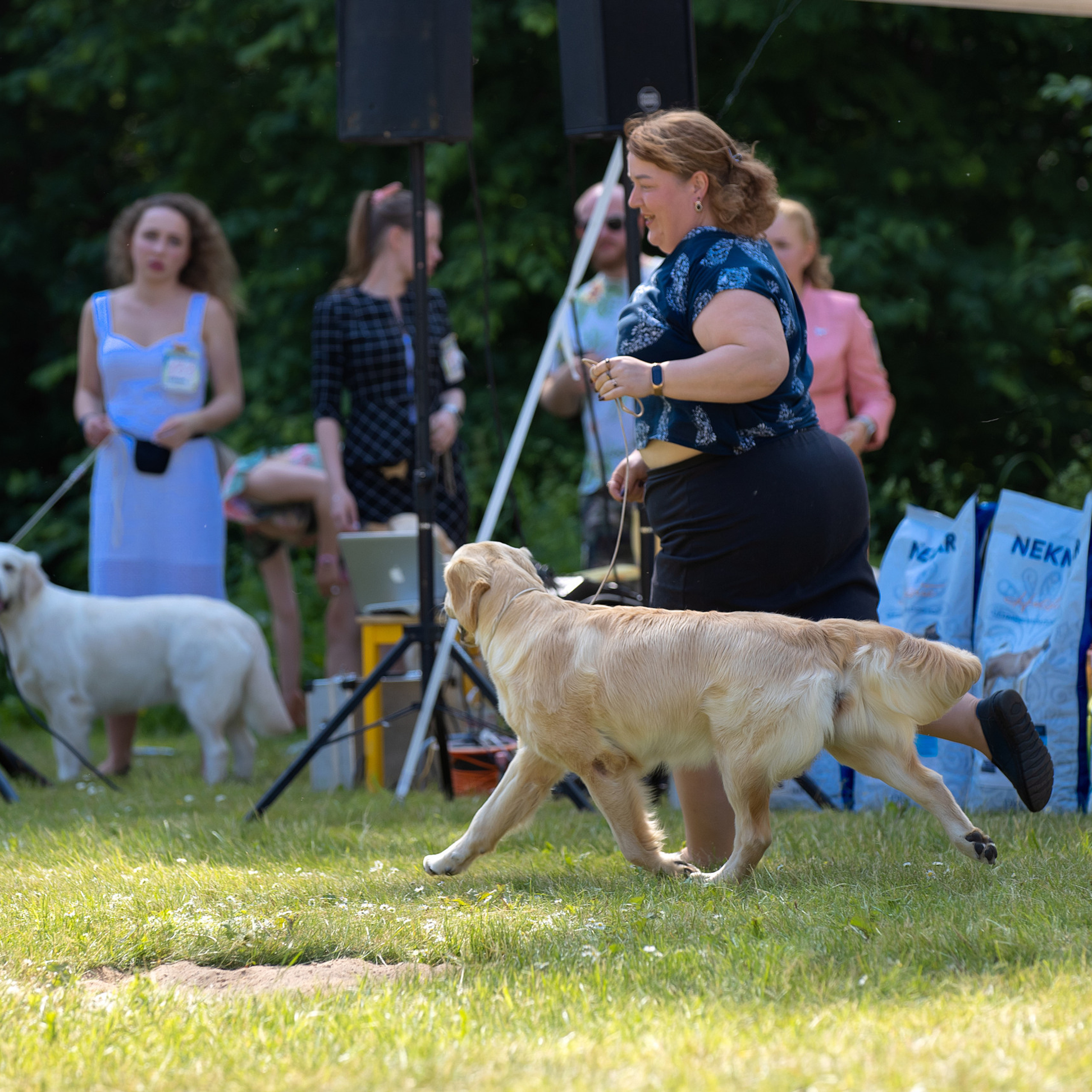 Отзывы. Фотограф анималист в Санкт-Петербурге Светлана Писарева