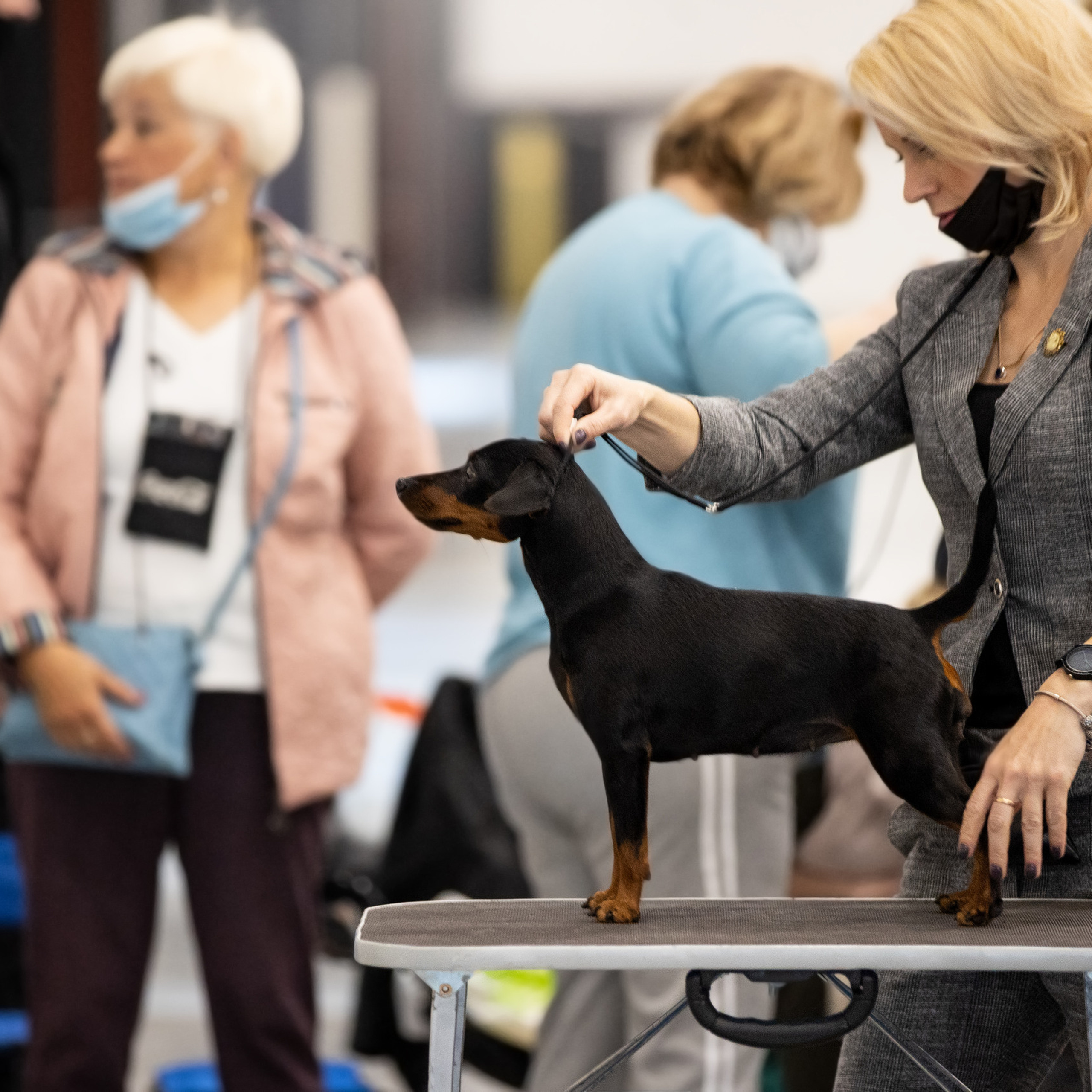 Отзывы. Фотограф анималист в Санкт-Петербурге Светлана Писарева