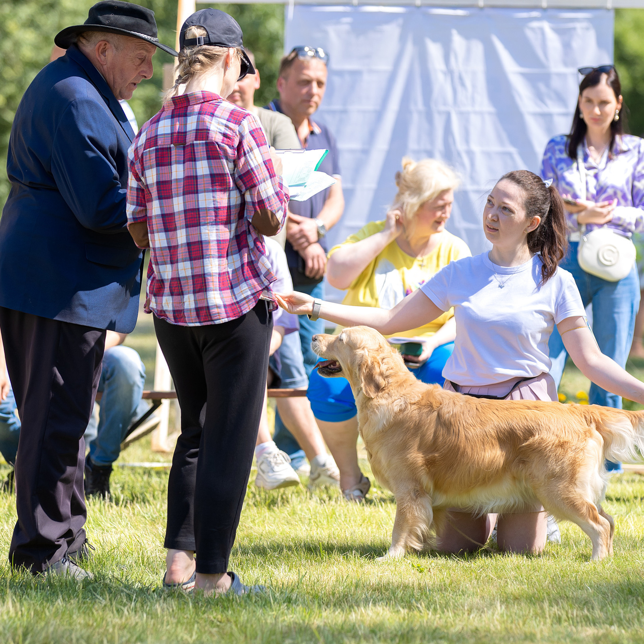 Отзывы. Фотограф анималист в Санкт-Петербурге Светлана Писарева