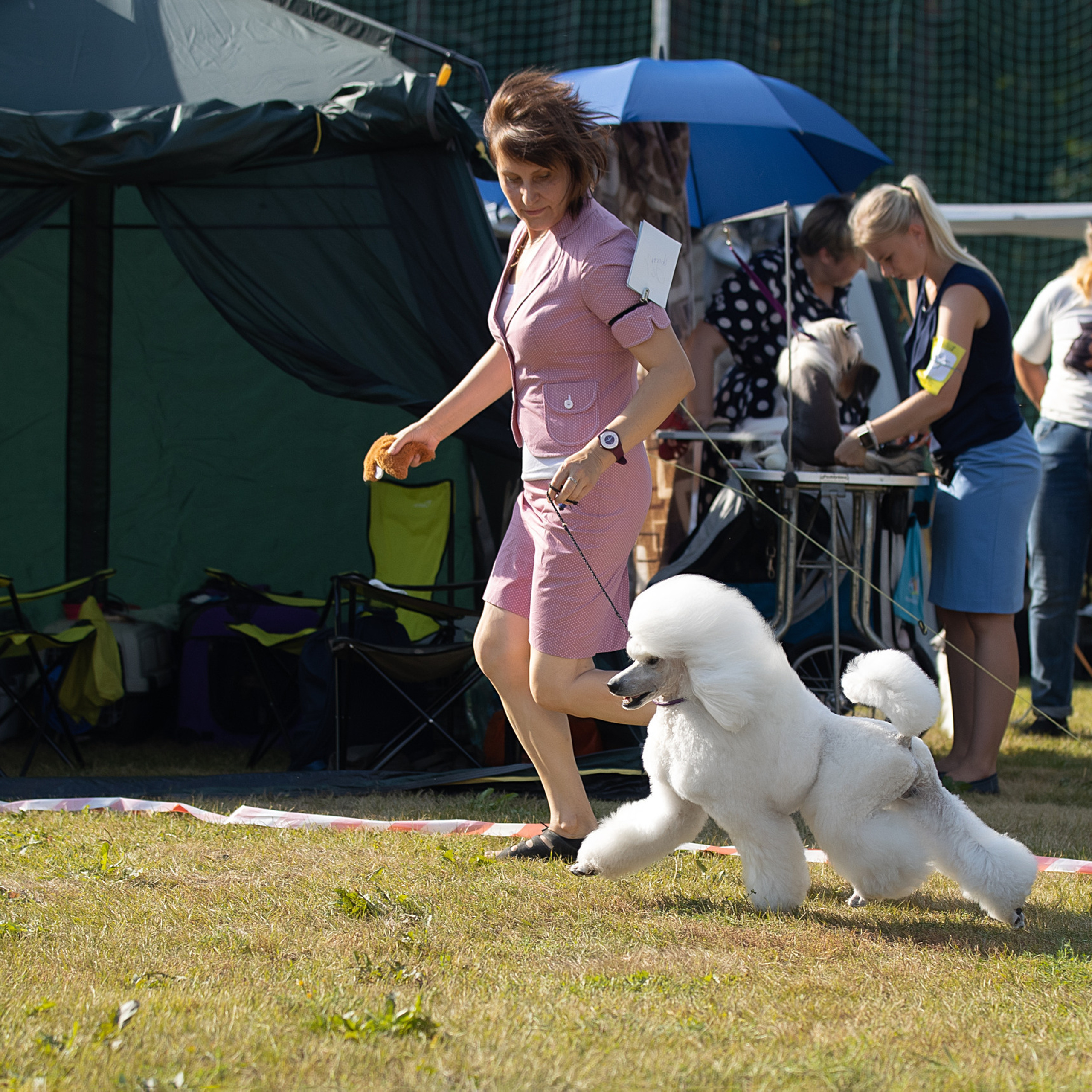 Отзывы. Фотограф анималист в Санкт-Петербурге Светлана Писарева