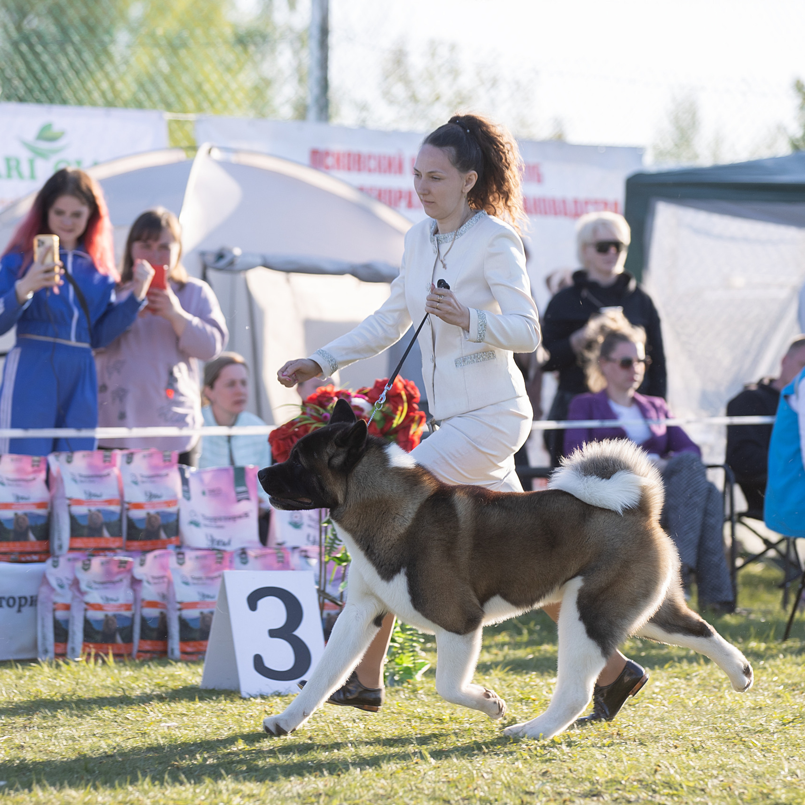 Отзывы. Фотограф анималист в Санкт-Петербурге Светлана Писарева