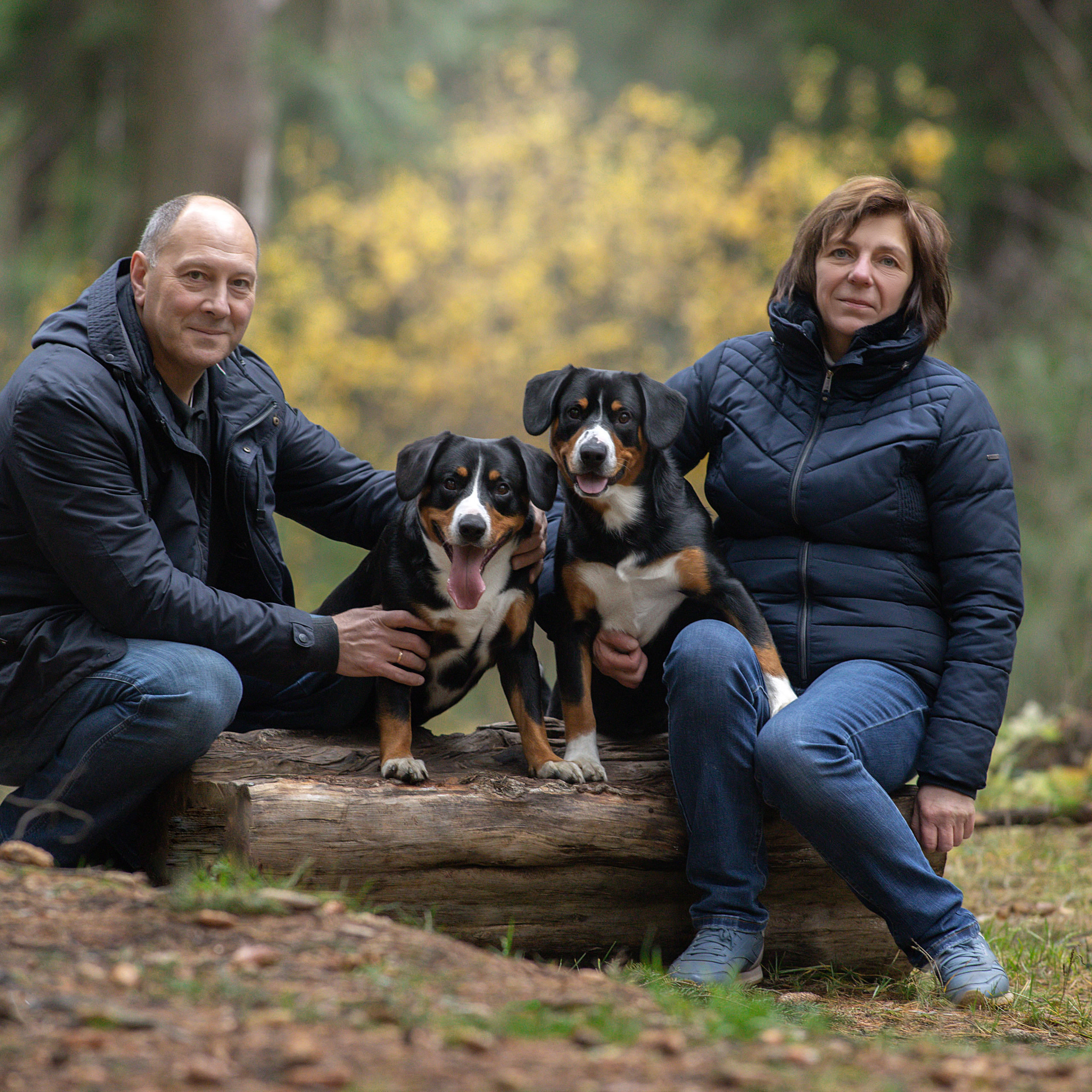 Отзывы. Фотограф анималист в Санкт-Петербурге Светлана Писарева