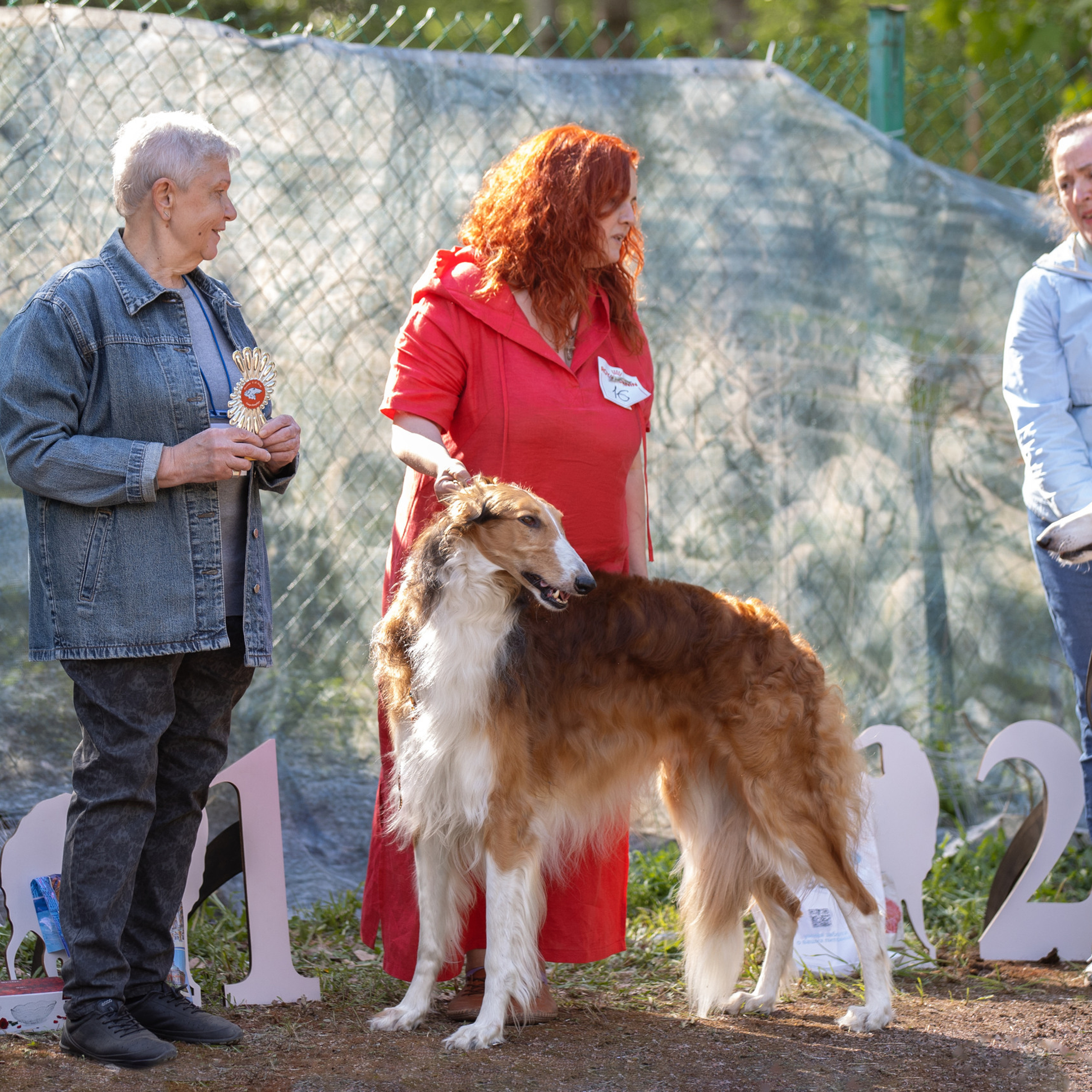 Отзывы. Фотограф анималист в Санкт-Петербурге Светлана Писарева