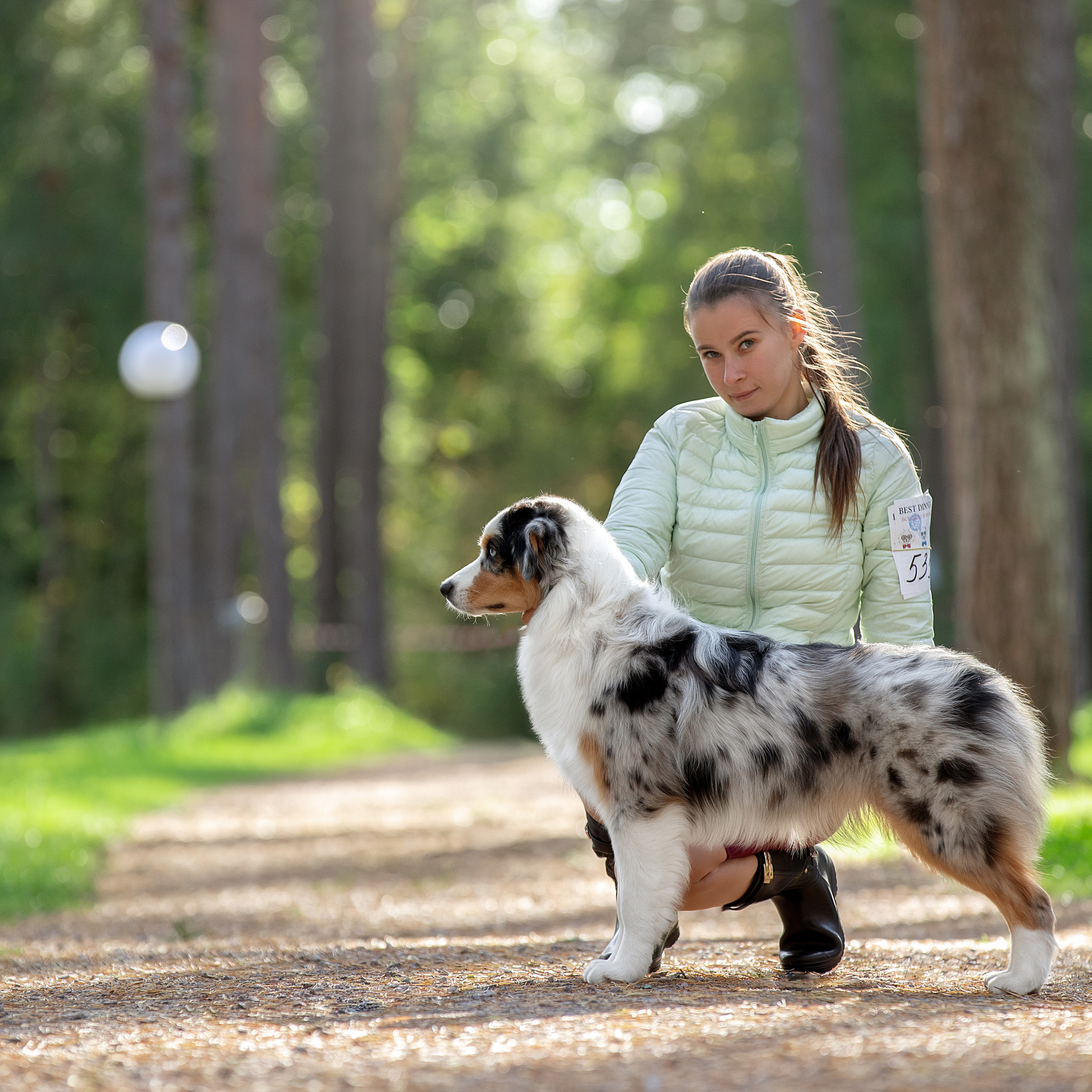 Отзывы. Фотограф анималист в Санкт-Петербурге Светлана Писарева