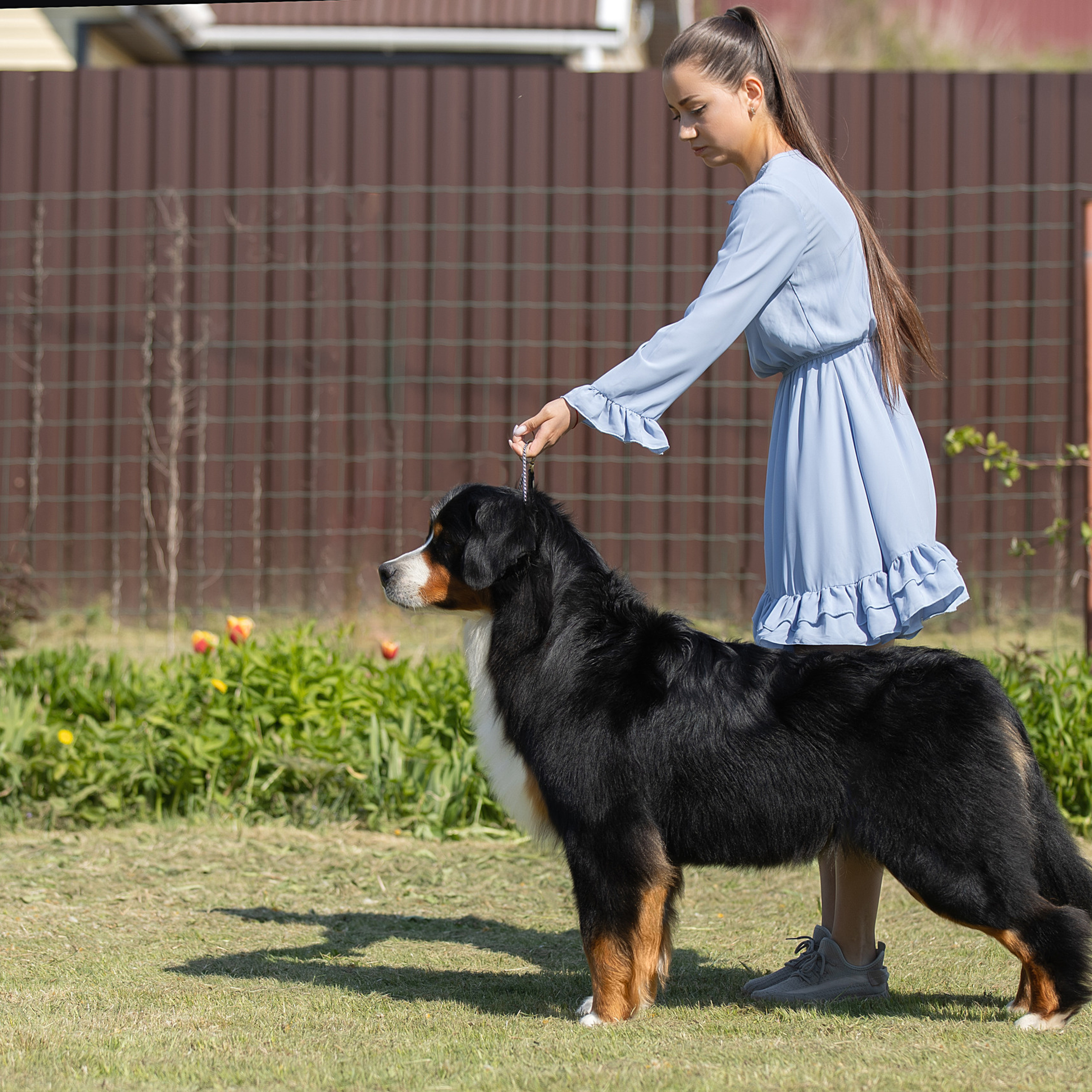 Отзывы. Фотограф анималист в Санкт-Петербурге Светлана Писарева