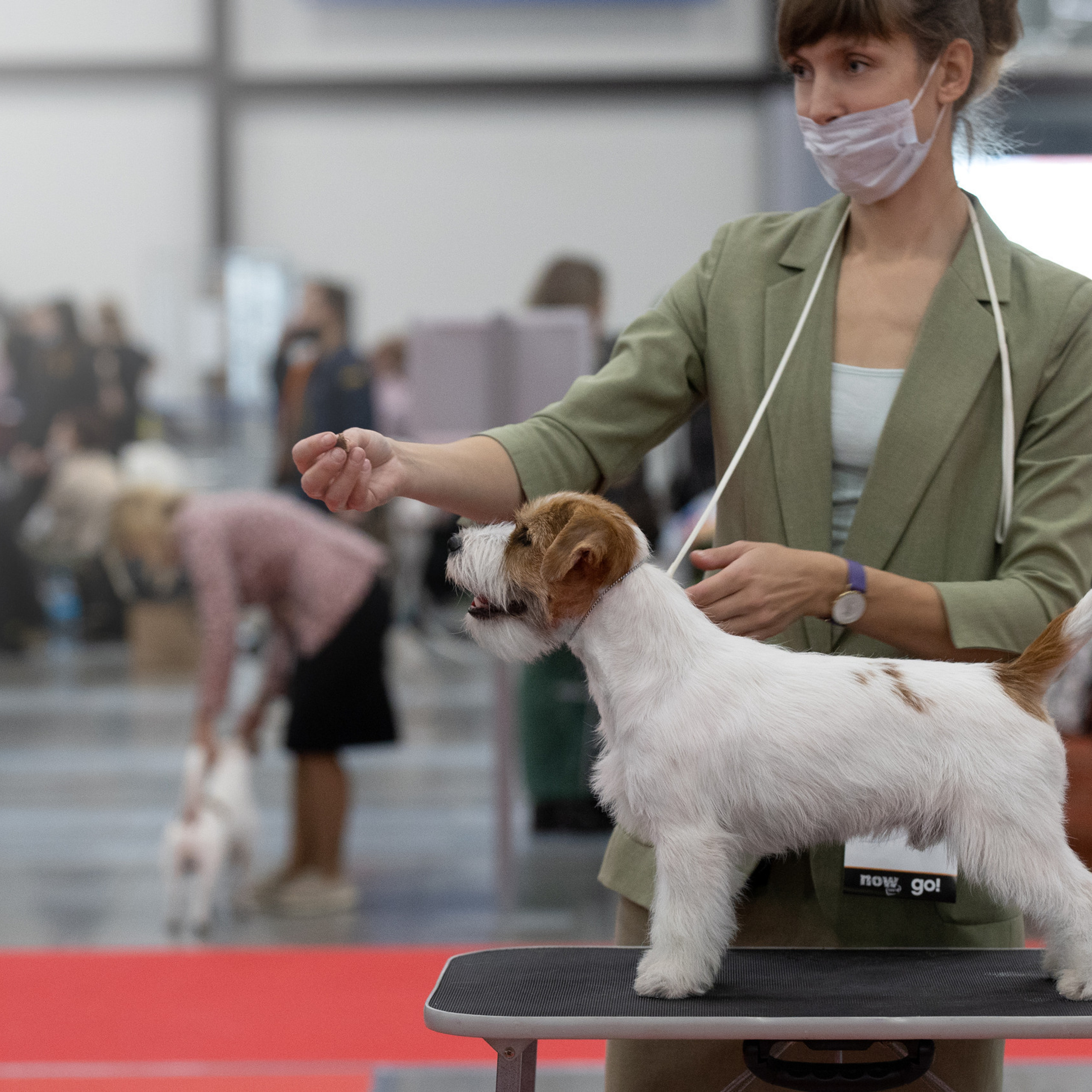 Отзывы. Фотограф анималист в Санкт-Петербурге Светлана Писарева