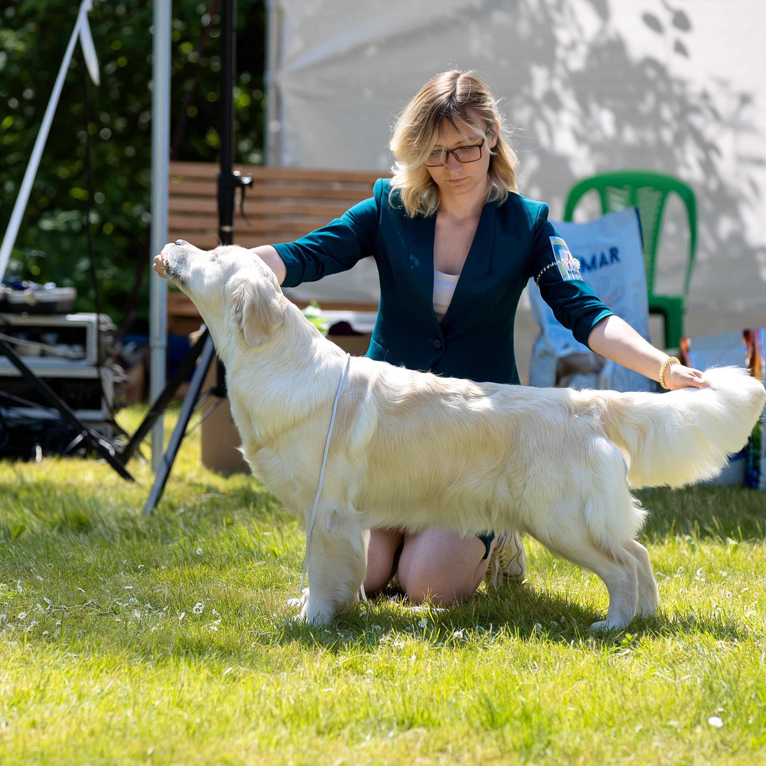 Отзывы. Фотограф анималист в Санкт-Петербурге Светлана Писарева