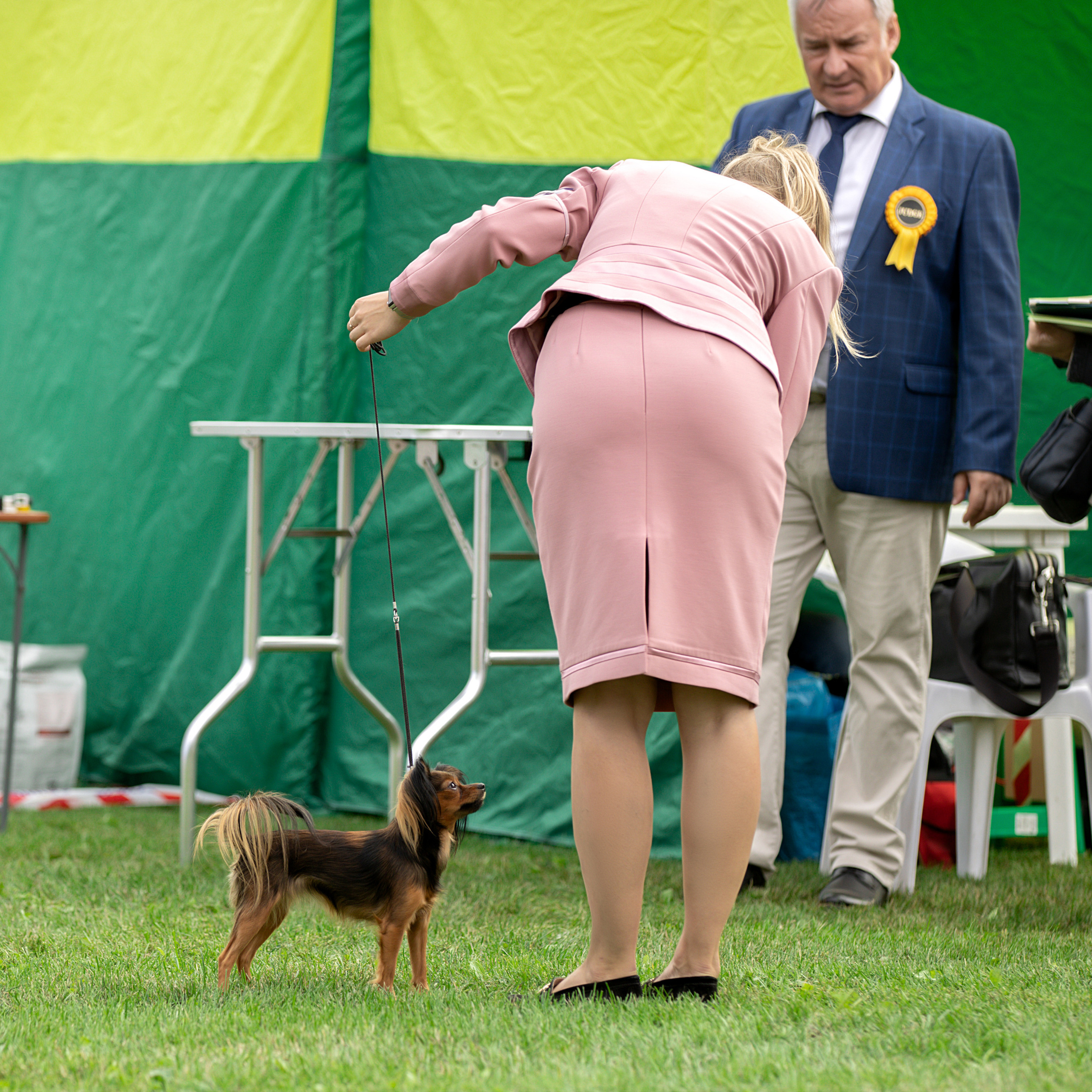 Отзывы. Фотограф анималист в Санкт-Петербурге Светлана Писарева