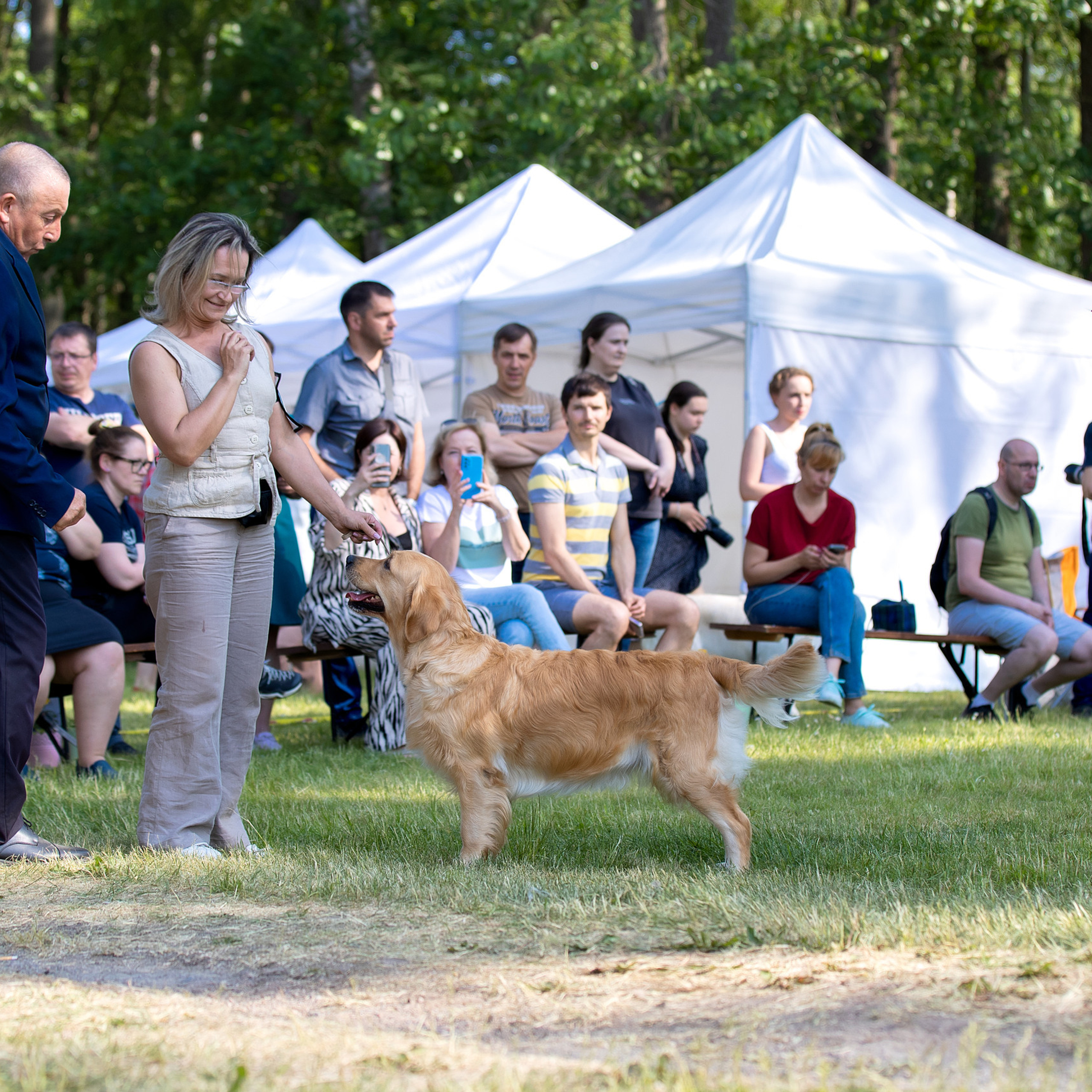 Отзывы. Фотограф анималист в Санкт-Петербурге Светлана Писарева