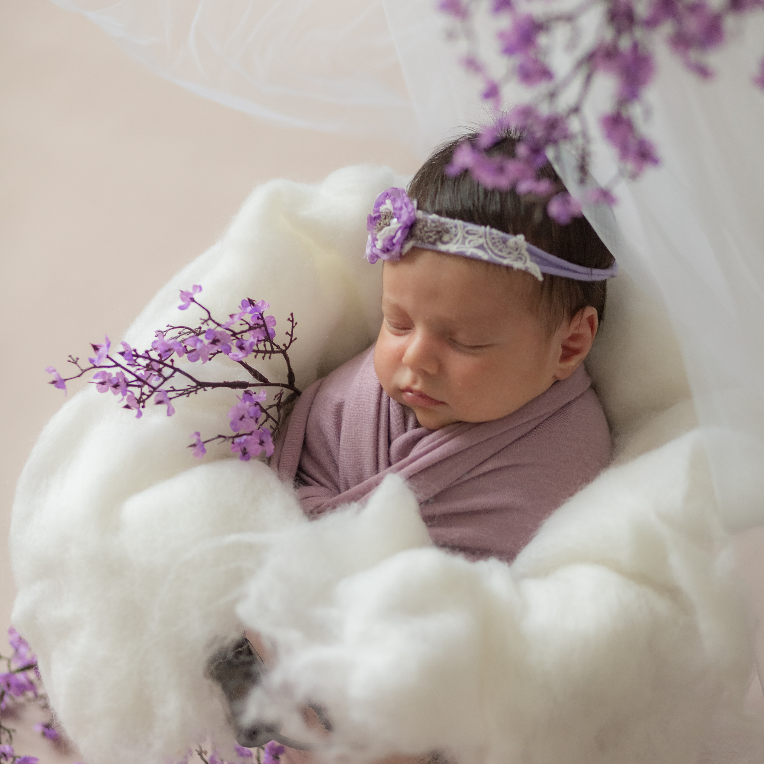 Отзывы. Фотограф новорожденных в Симферополе Эльмира тизе