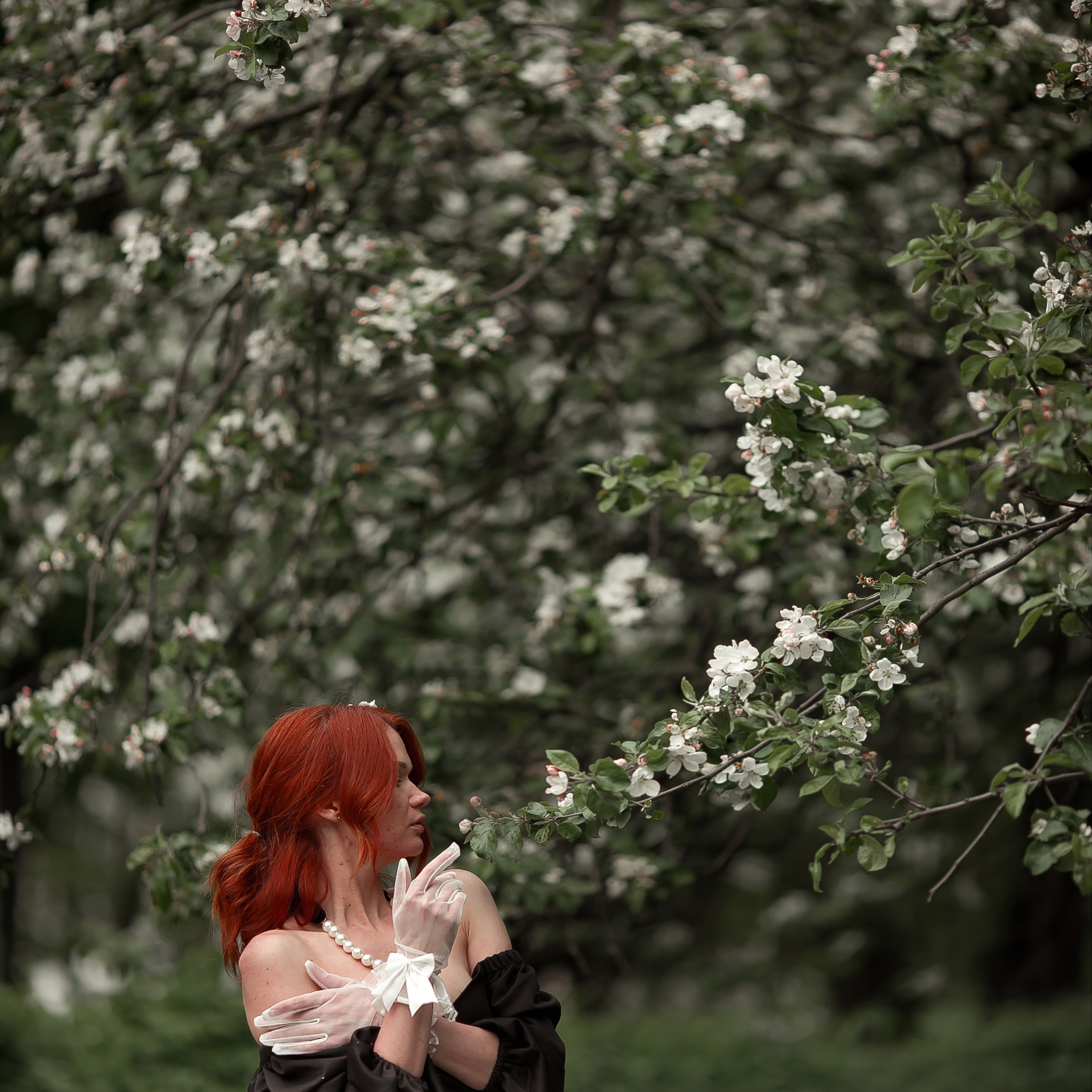 Ксения, Майское цветение