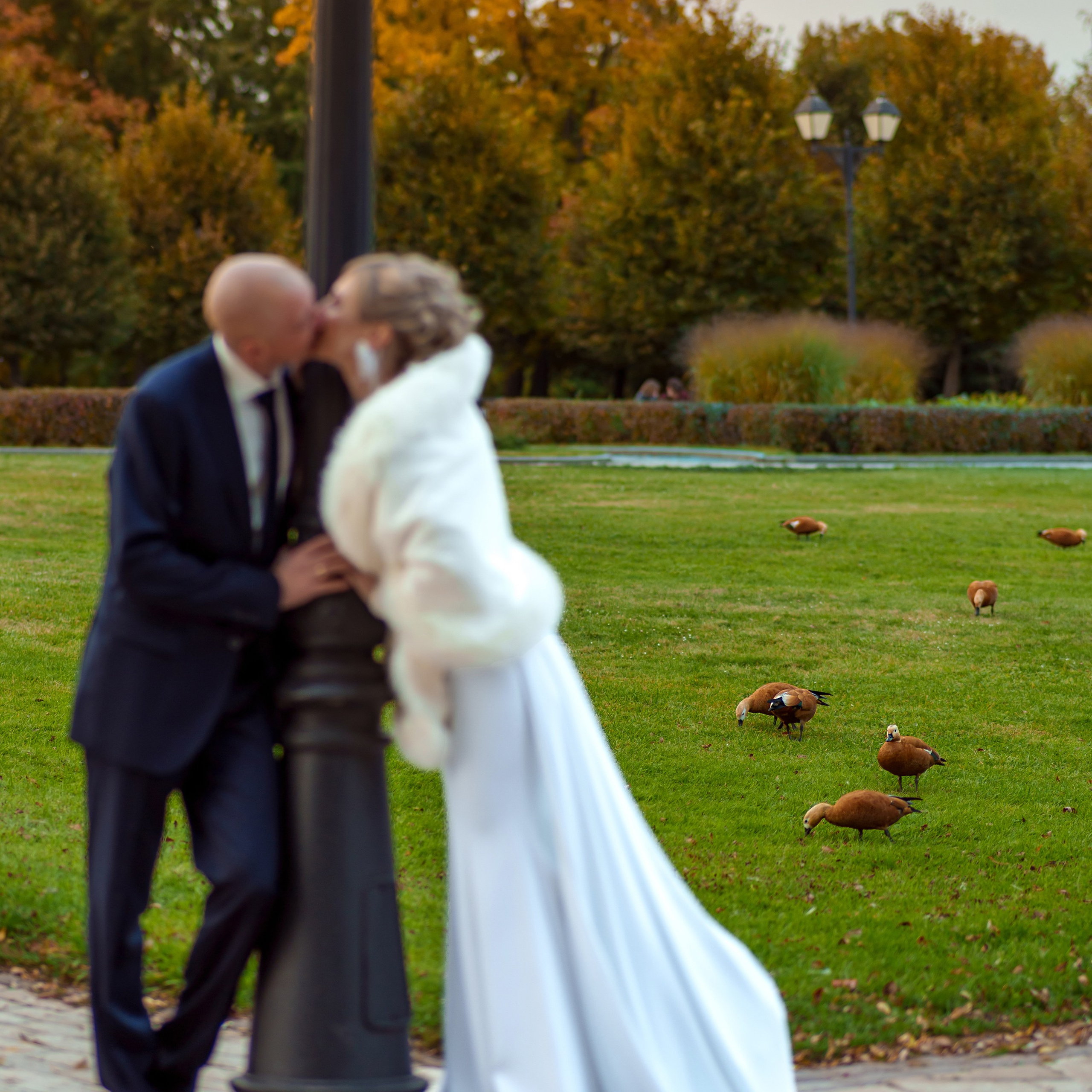 Отзывы от наших клиентов. Череваненко Сергей и Элина — свадебный фотограф видеограф