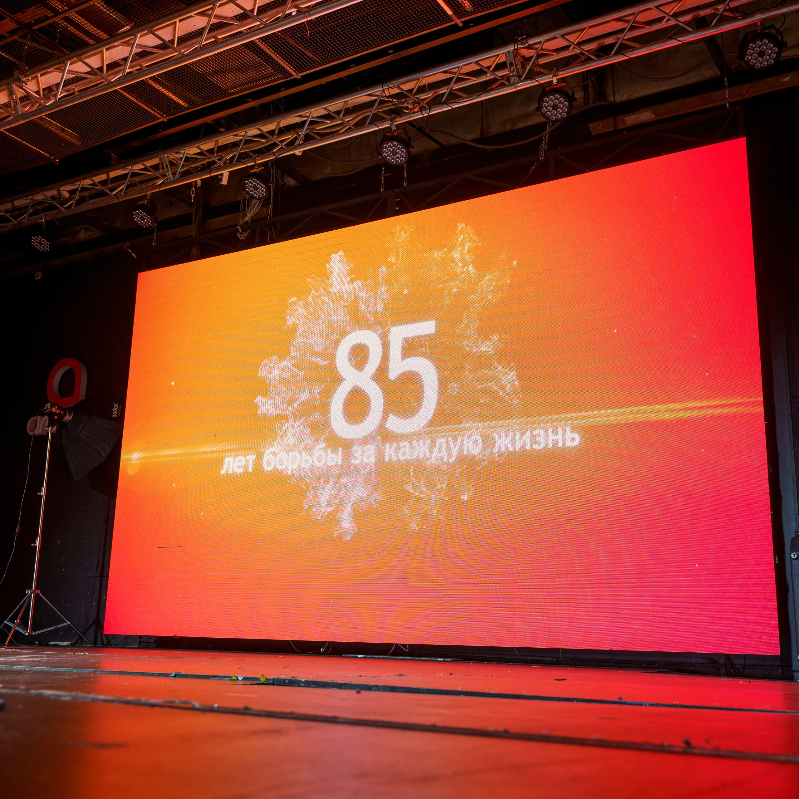 Отзывы от наших клиентов. Череваненко Сергей и Элина — свадебный фотограф видеограф