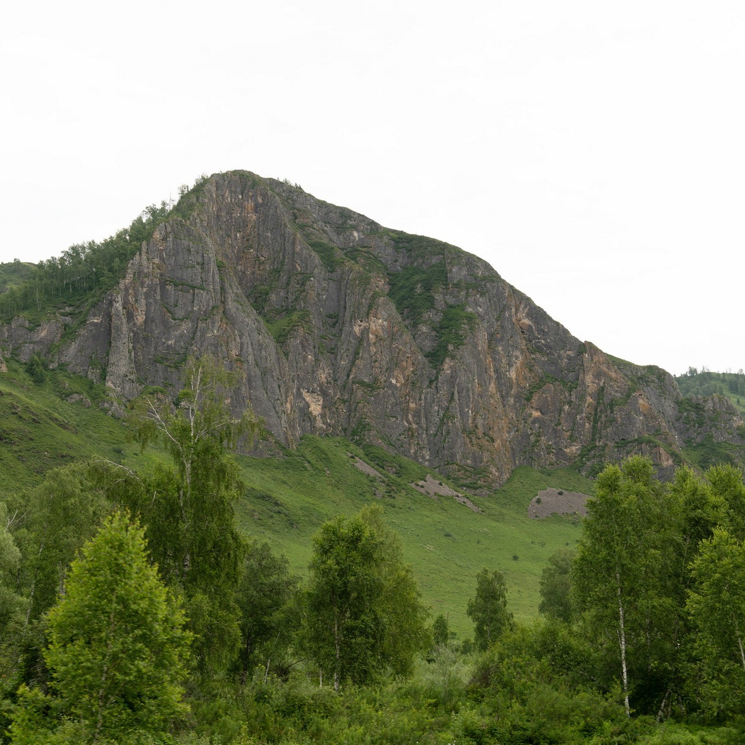 Природа. Семейный, детский и женский фотограф в Братске