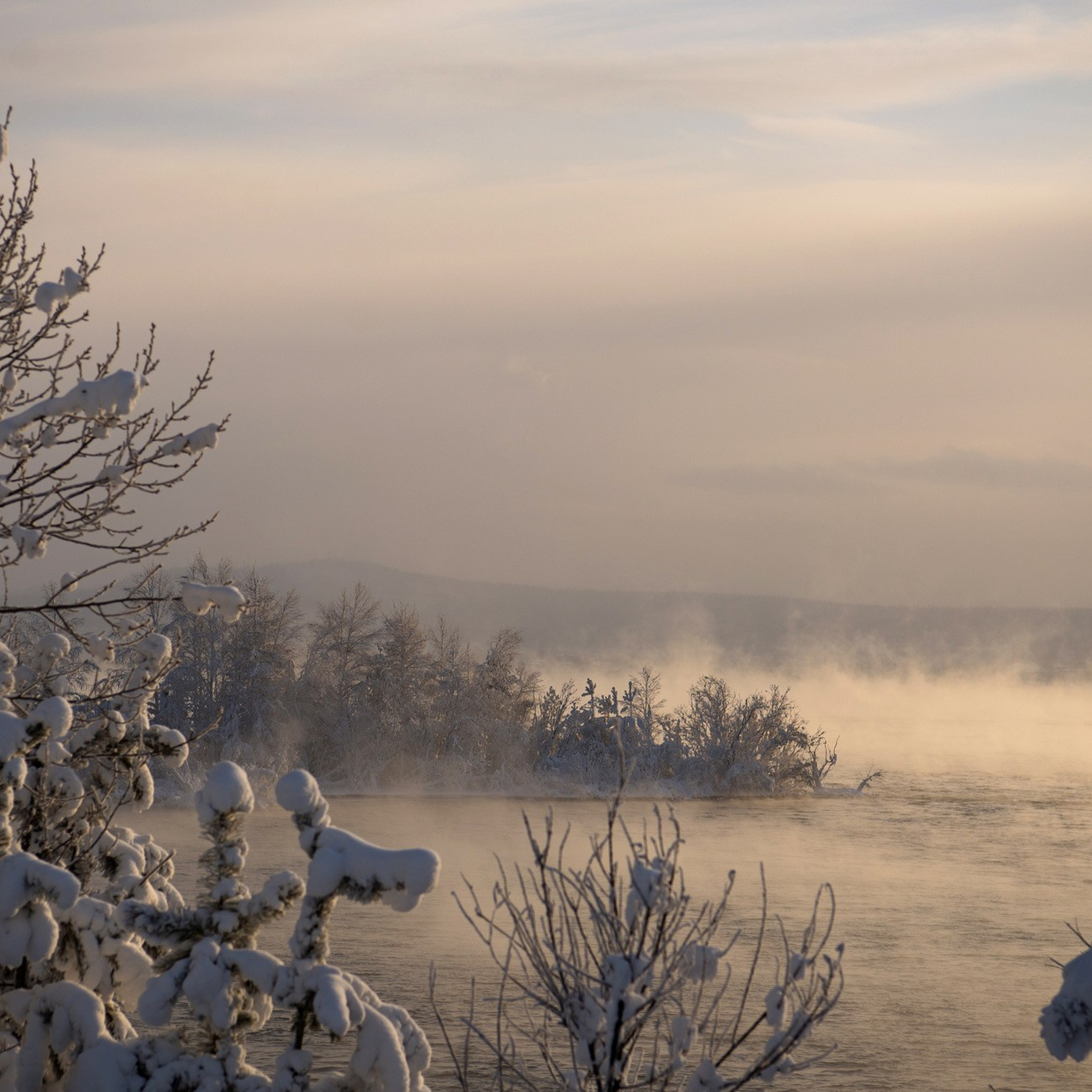 Природа. Семейный, детский и женский фотограф в Братске