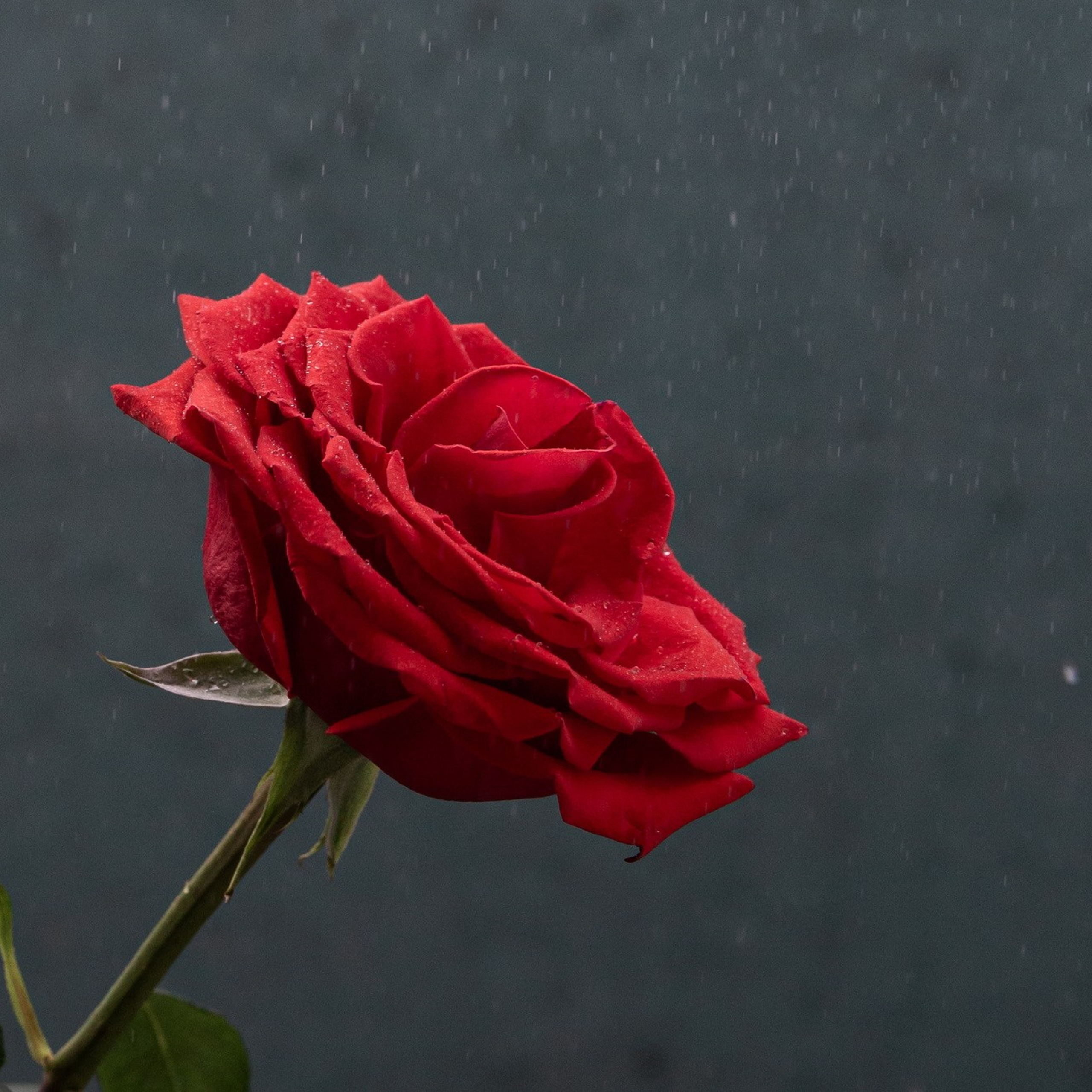 Природа. Семейный, детский и женский фотограф в Братске